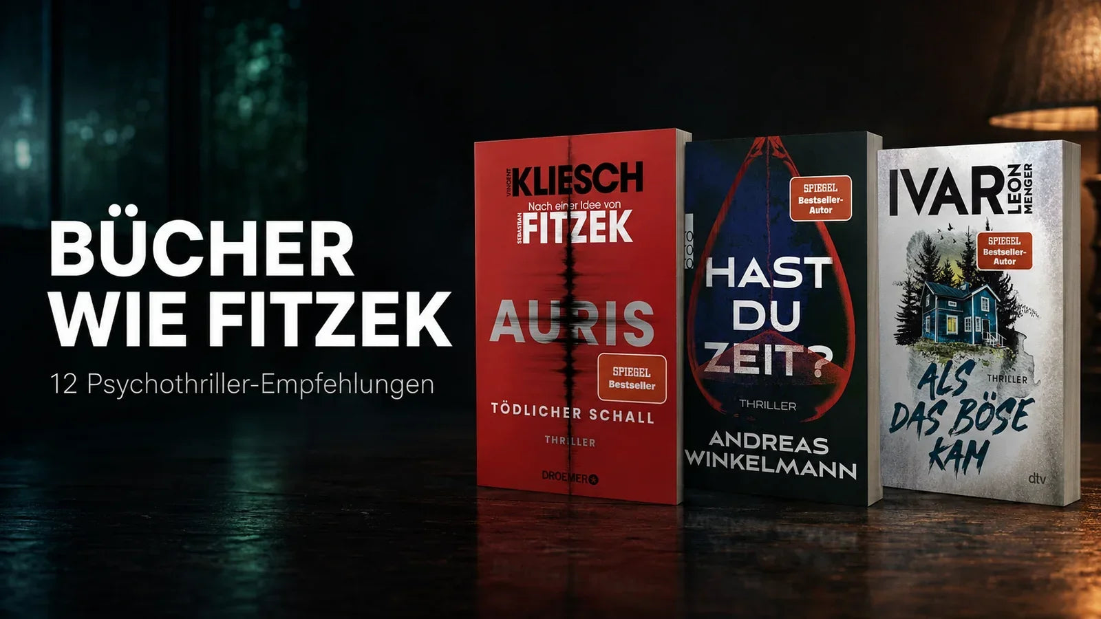 Bücher wie Sebastian Fitzek: zwölf Psychothriller, die das Warten verkürzen