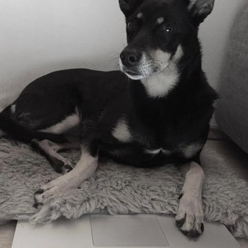 Lily Schönfuß