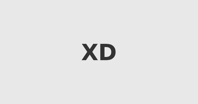 Xiaobo Dong