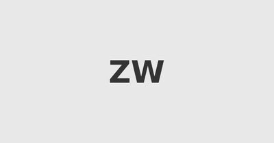 Zhong Lin Wang