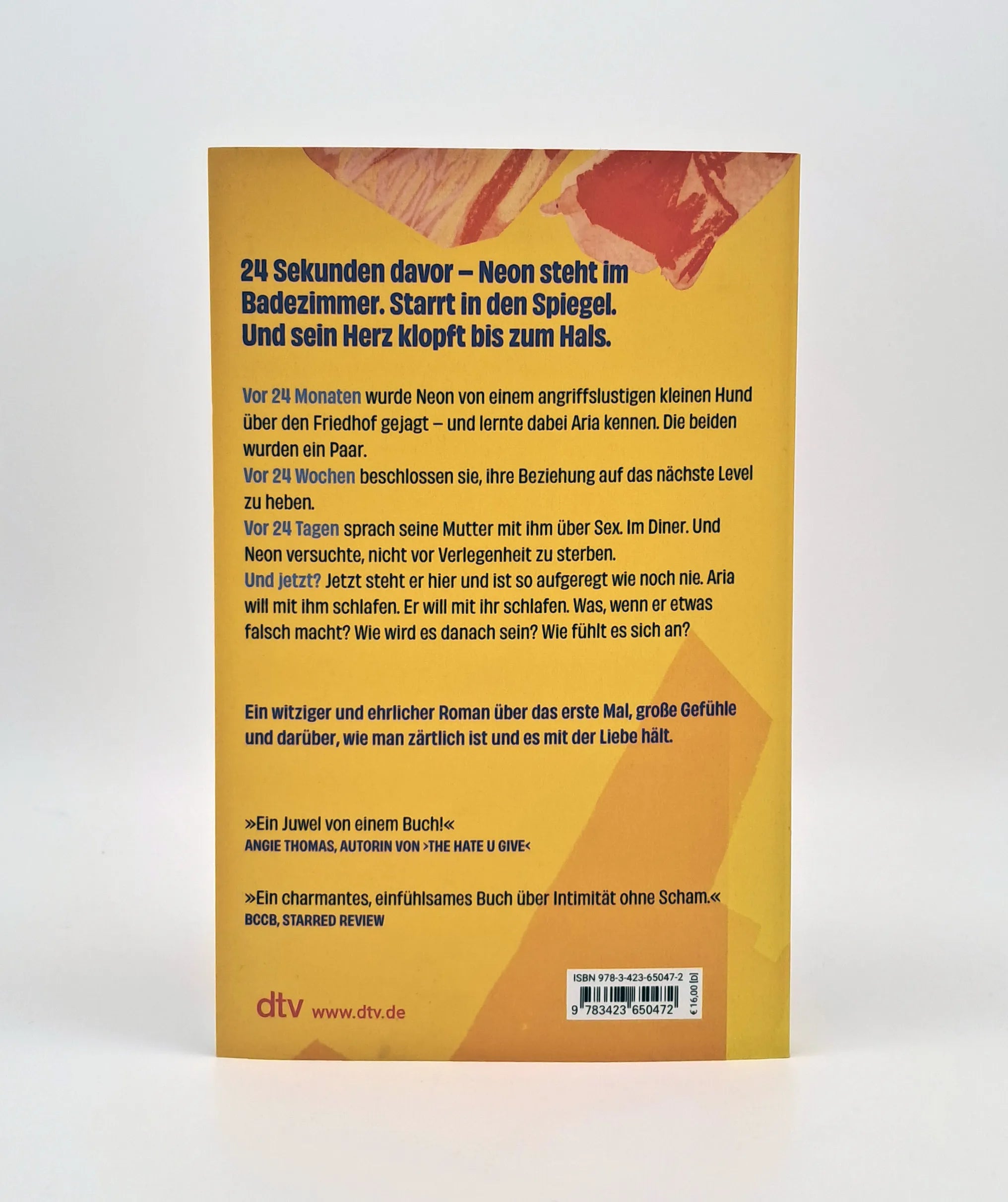 Detailansicht: 24 Sekunden ab jetzt (Paperback)