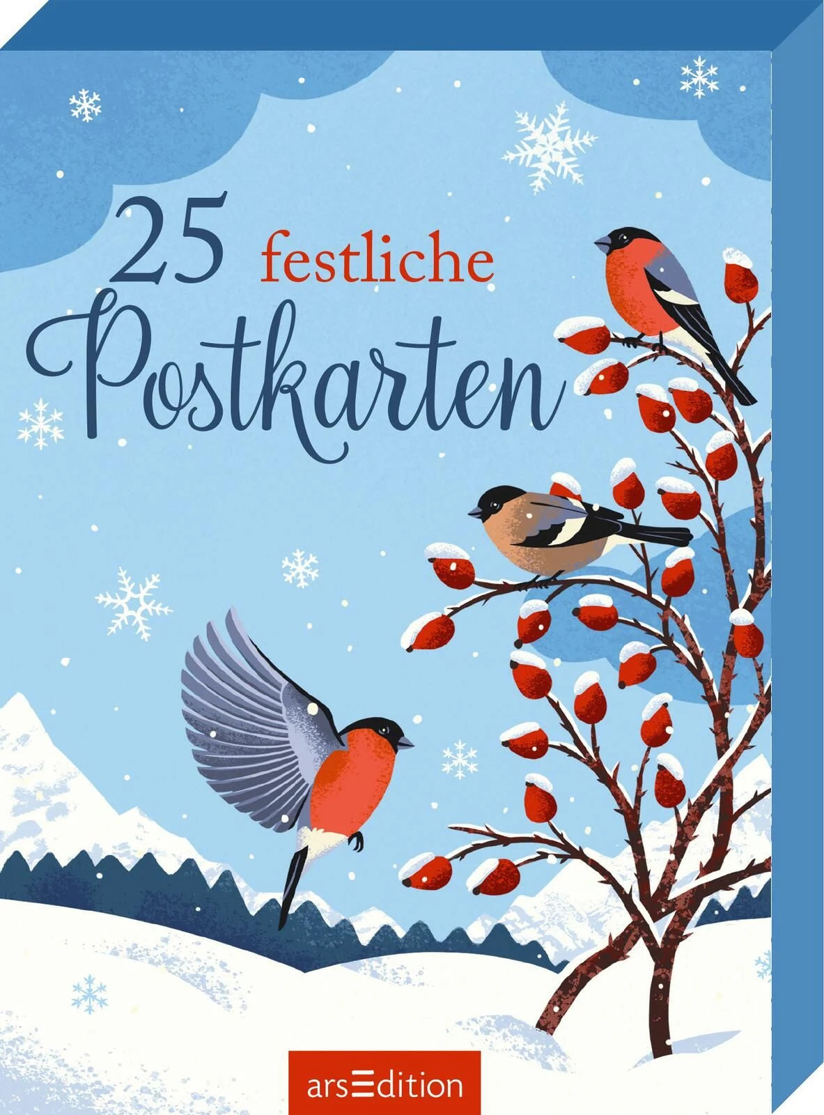 Gesellschaftsspiel: 25 festliche Postkarten