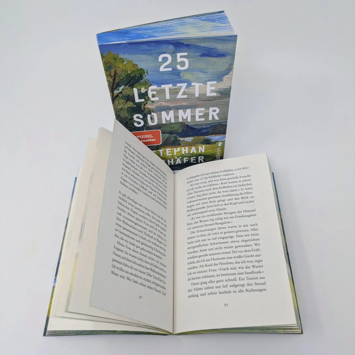 Detailansicht: 25 letzte Sommer (Taschenbuch)