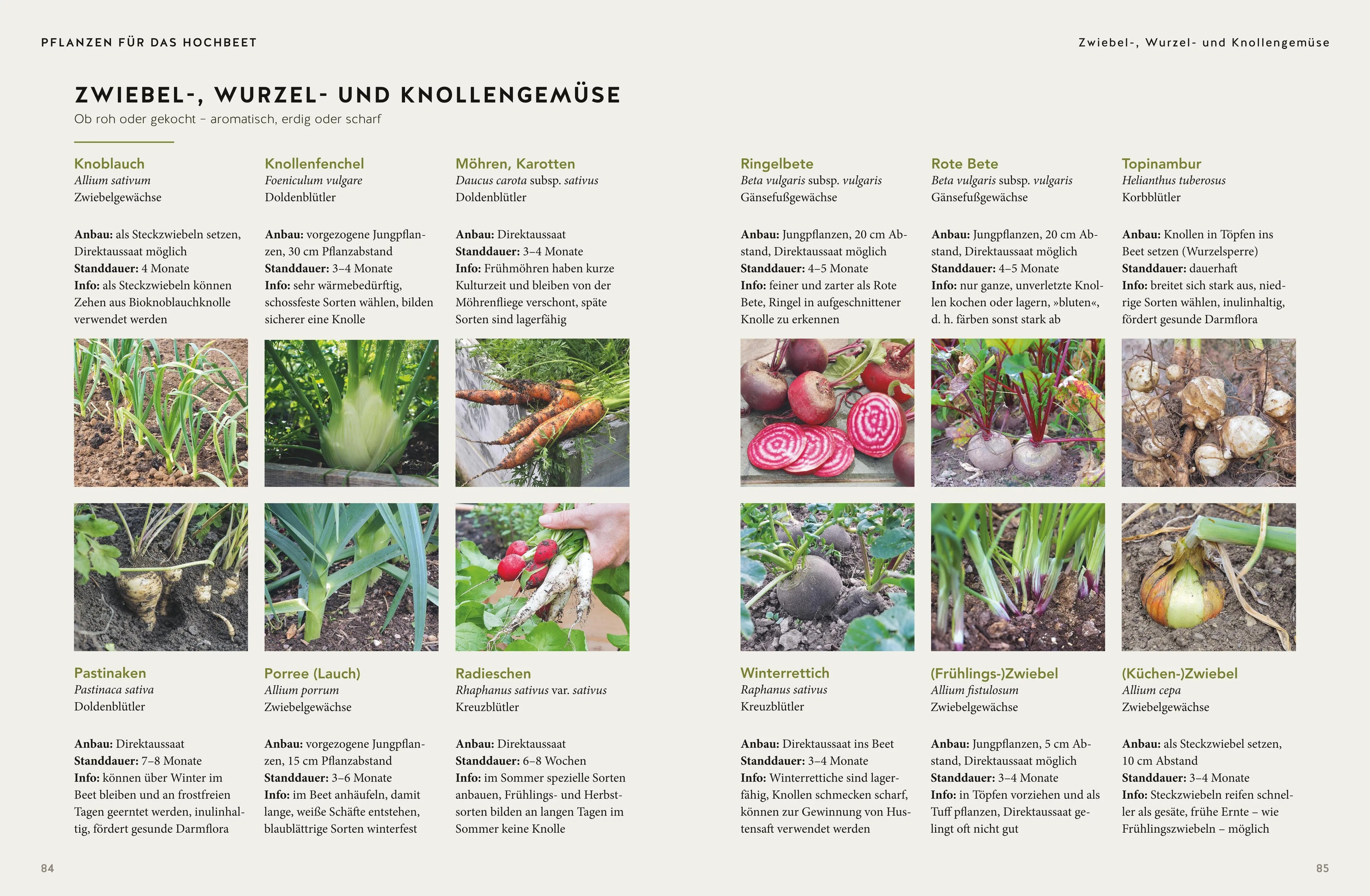 Produktansicht: 365 Tage Hochbeet (Gebundene Ausgabe)