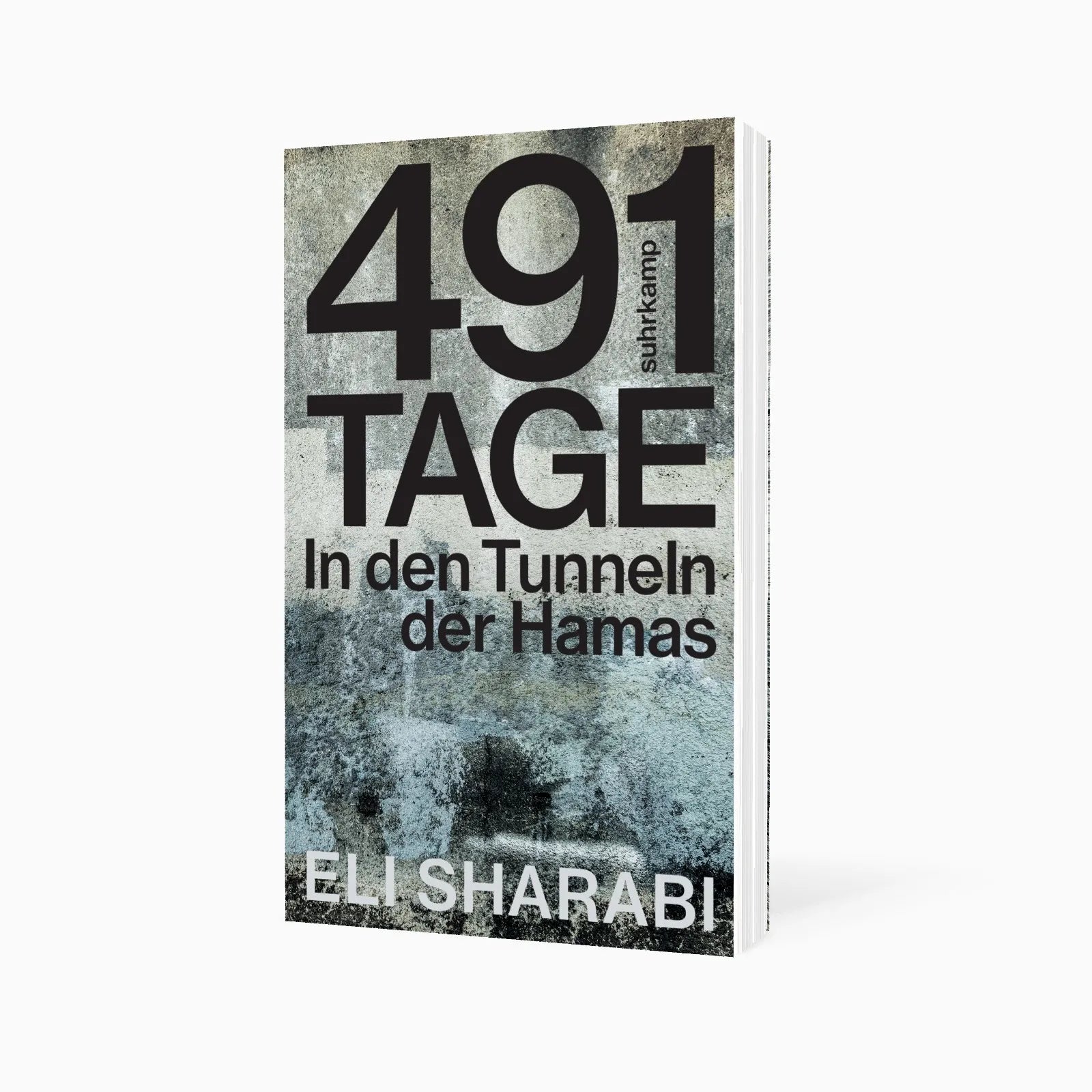Detailansicht: 491 Tage (Taschenbuch)