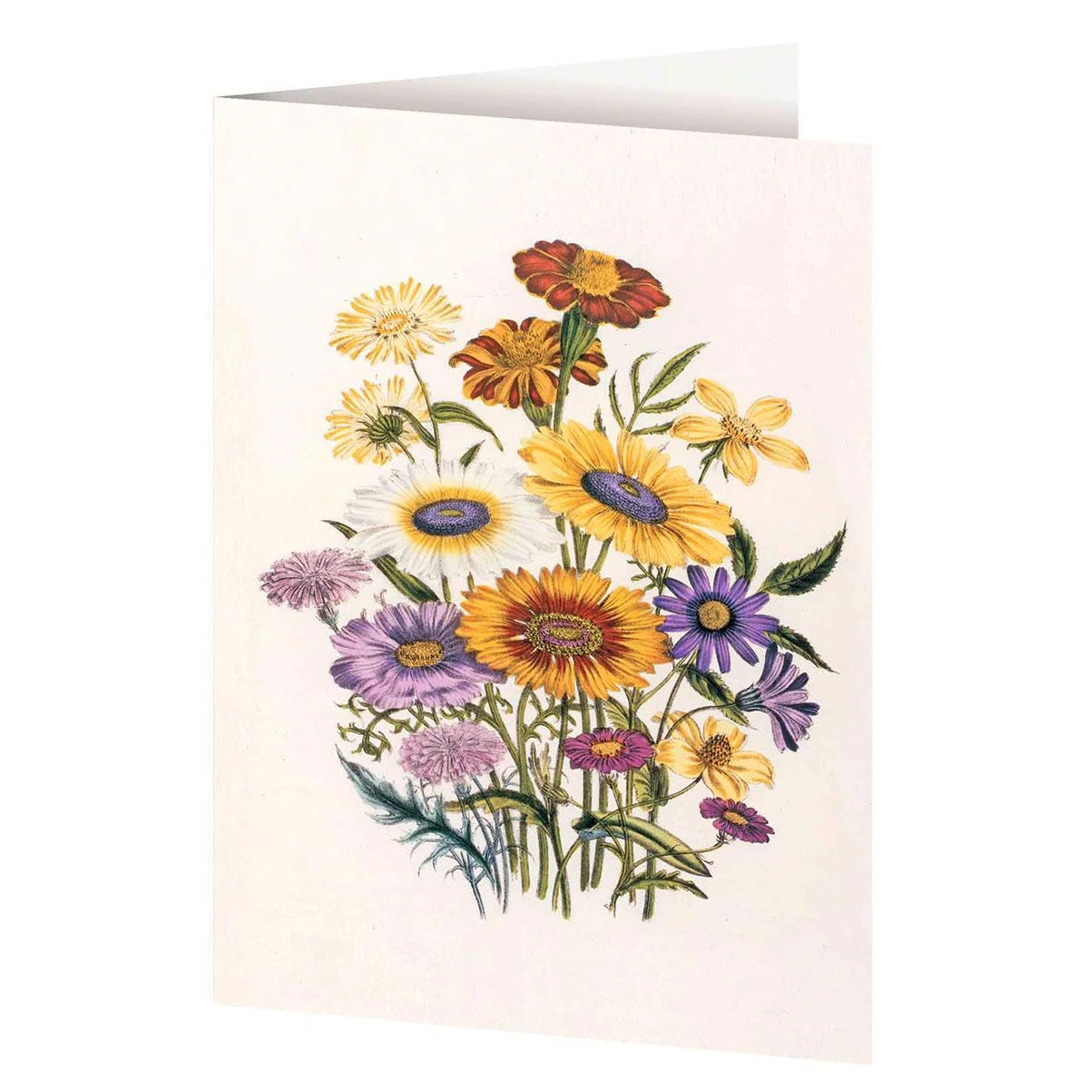 4er-Set Doppelkarten »Blumengrüße« mit Motiven von Jane C. Loudon – Ansicht