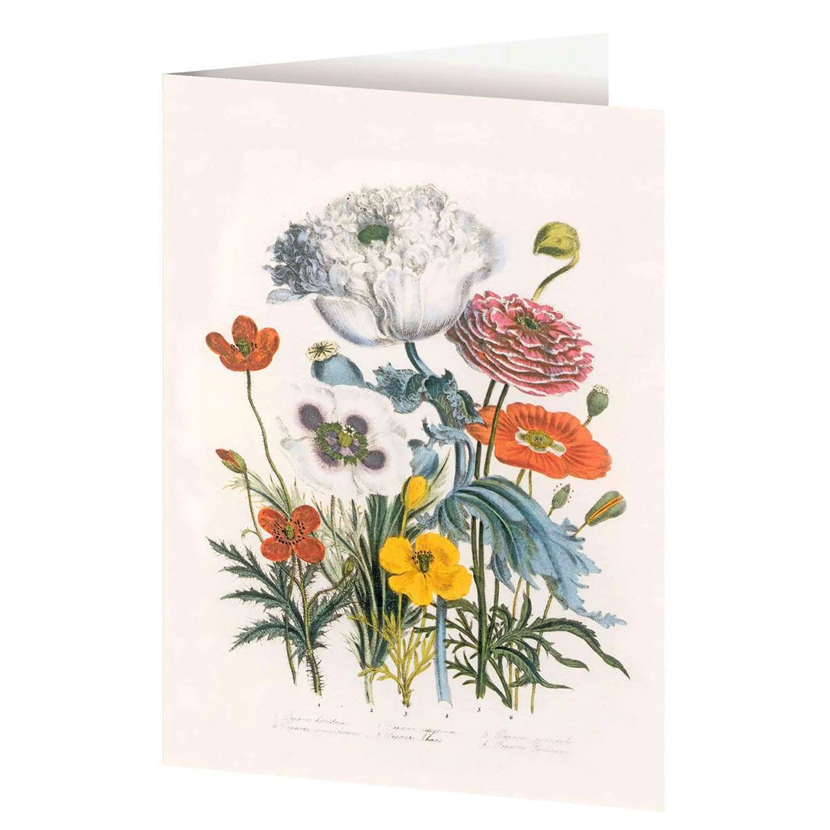 4er-Set Doppelkarten »Blumengrüße« mit Motiven von Jane C. Loudon – Ansicht