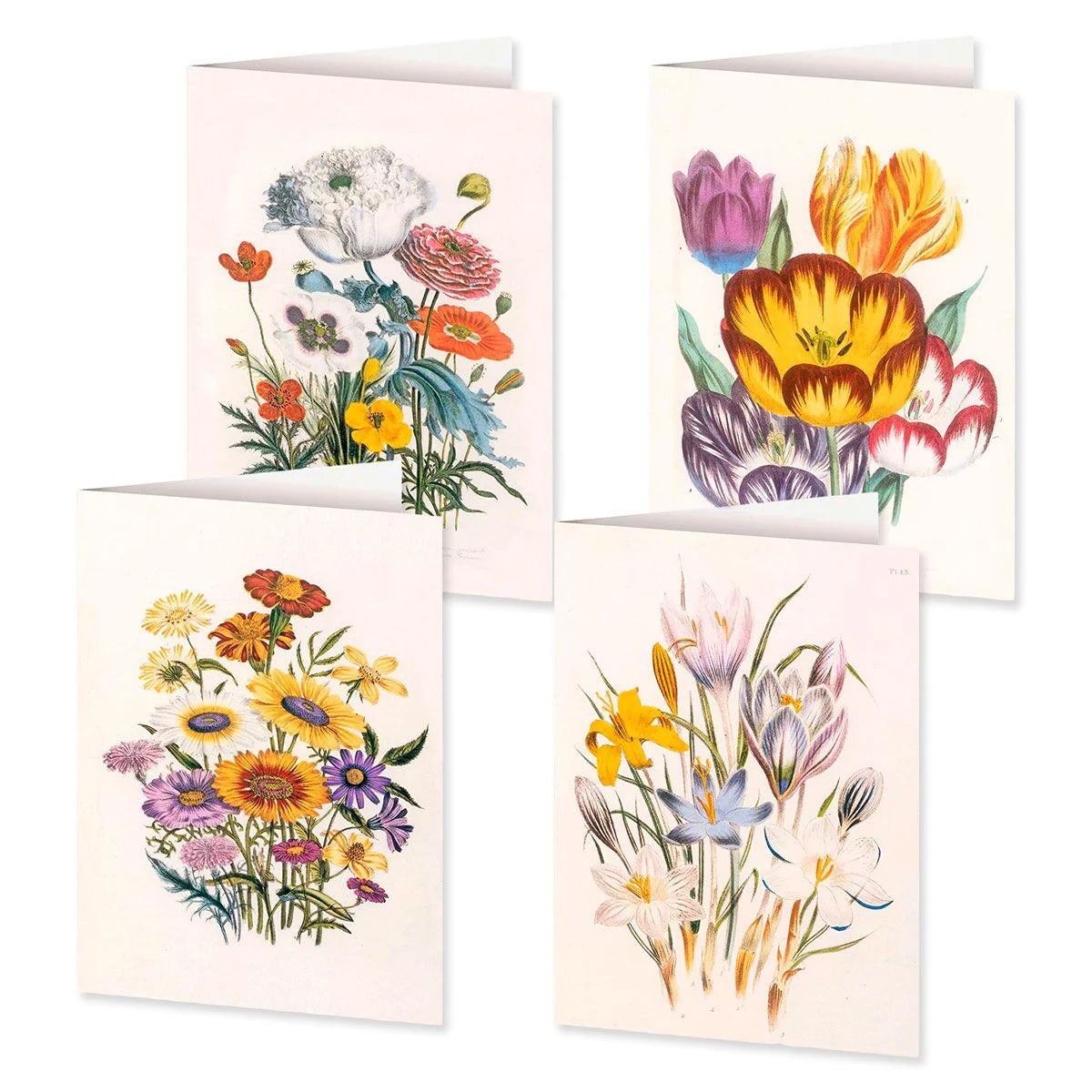 Gesellschaftsspiel: 4er-Set Doppelkarten »Blumengrüße« mit Motiven von Jane C. Loudon