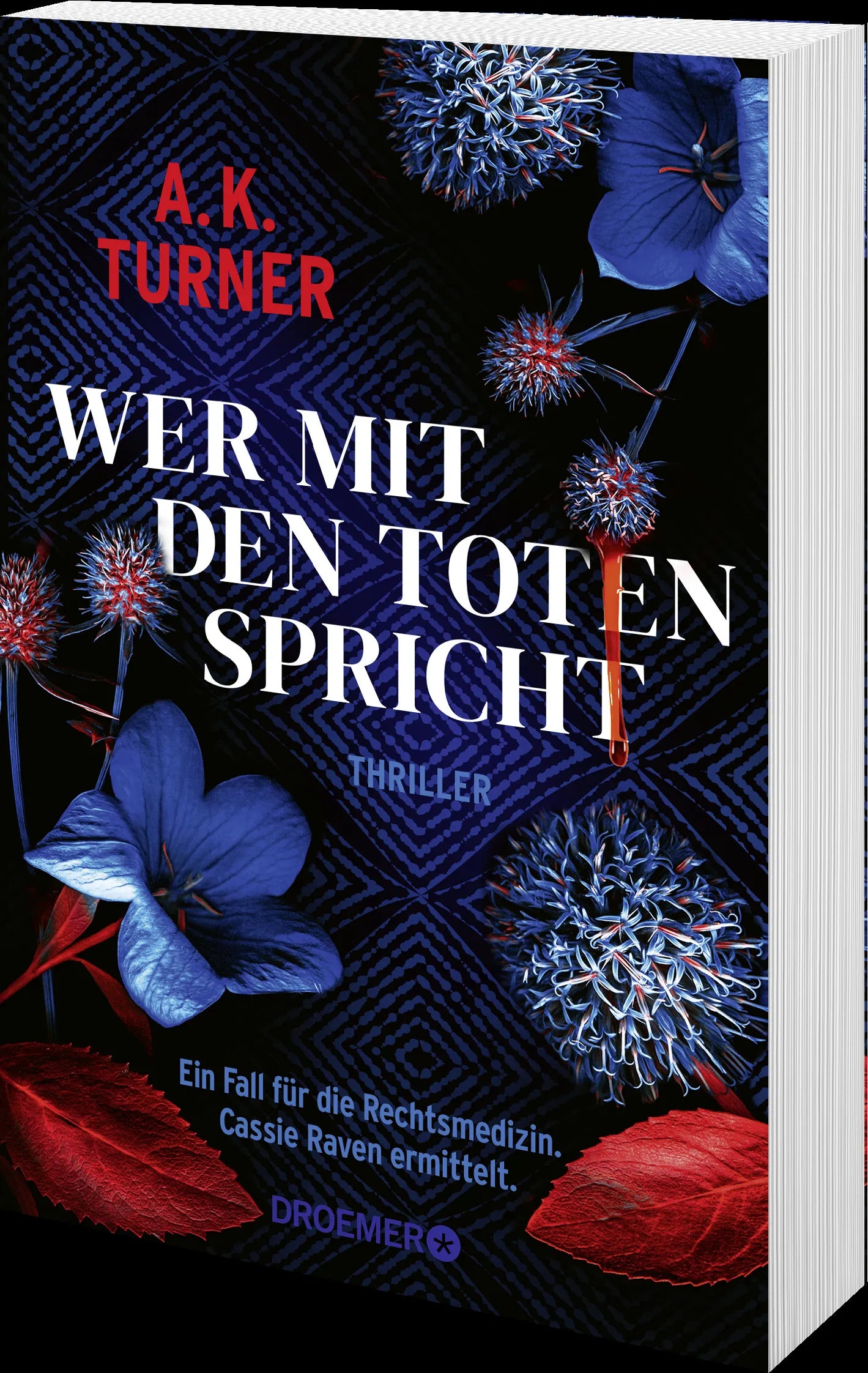 Produktansicht: Wer mit den Toten spricht (Taschenbuch)