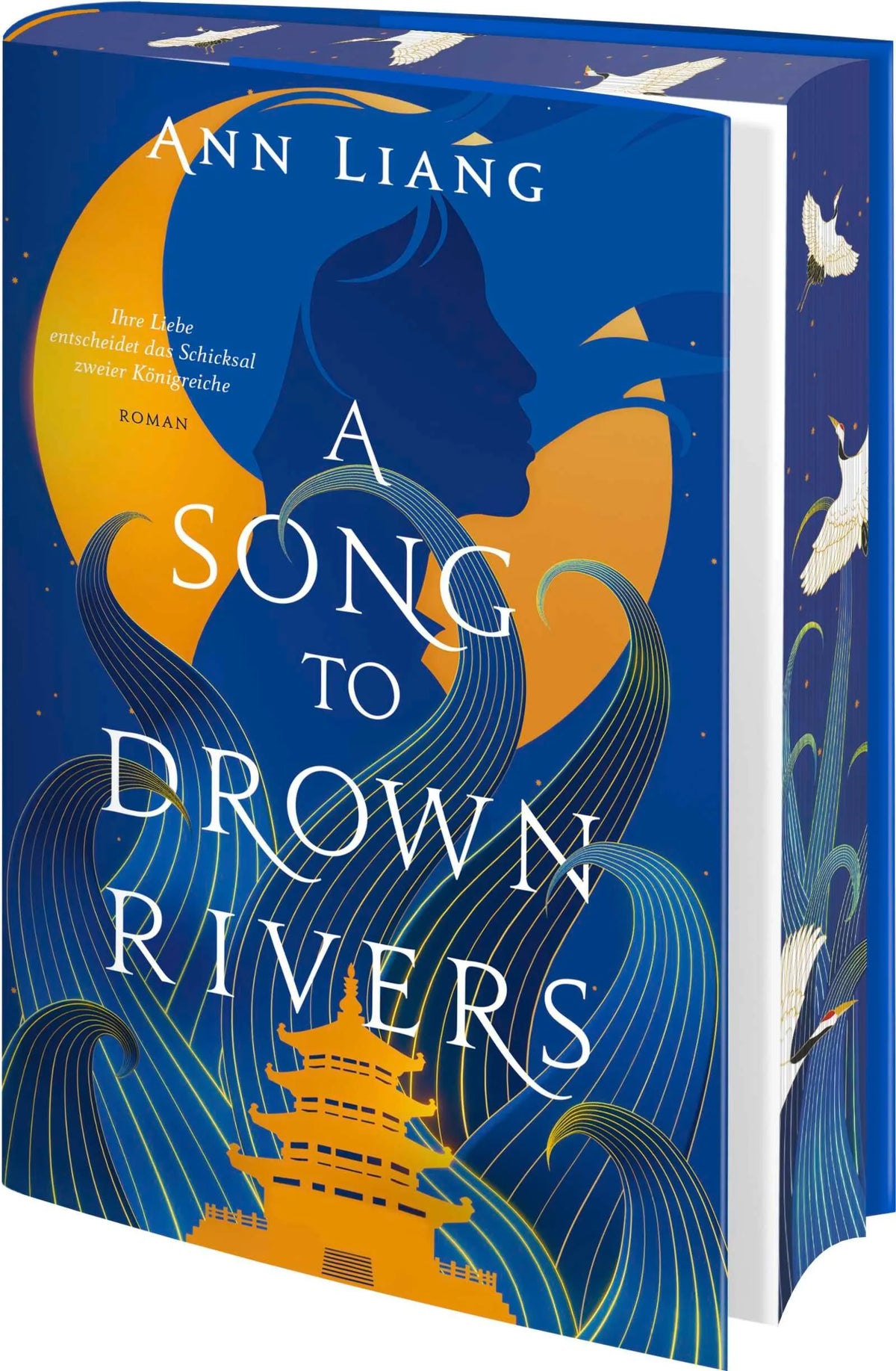 Cover: A Song to Drown Rivers (Hardcover) von Ann Liang