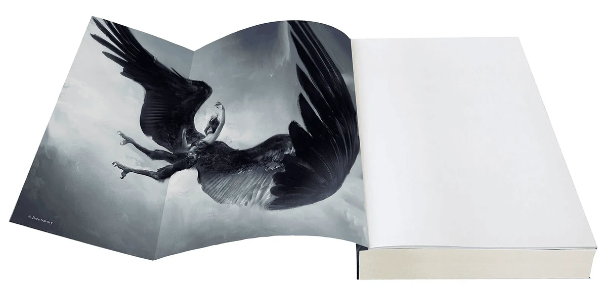 Detailansicht: A Whisper of Wings (Paperback)