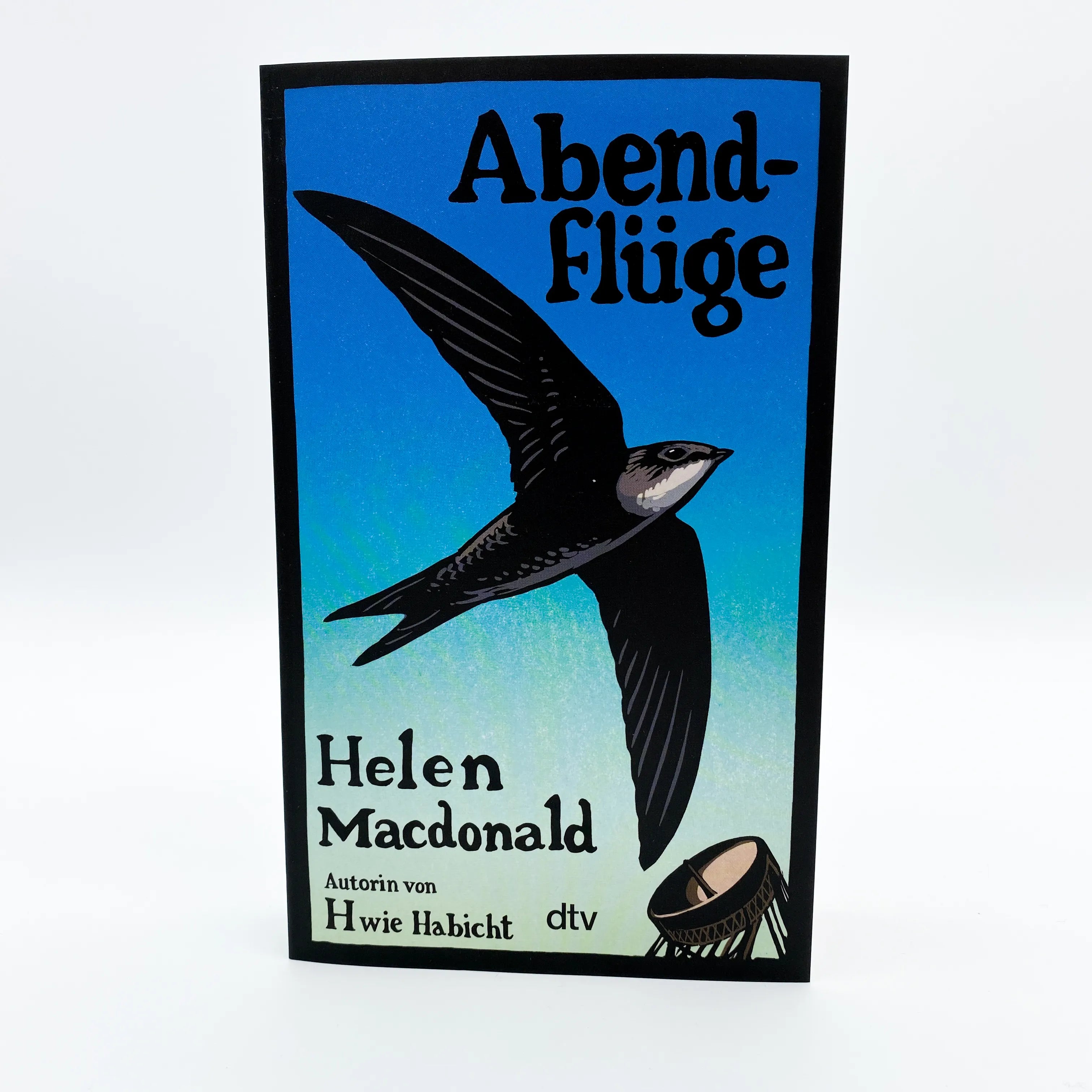 Produktansicht: Abendflüge (Taschenbuch)