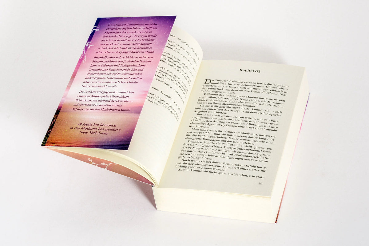 Detailansicht: Abendlicht (Taschenbuch)