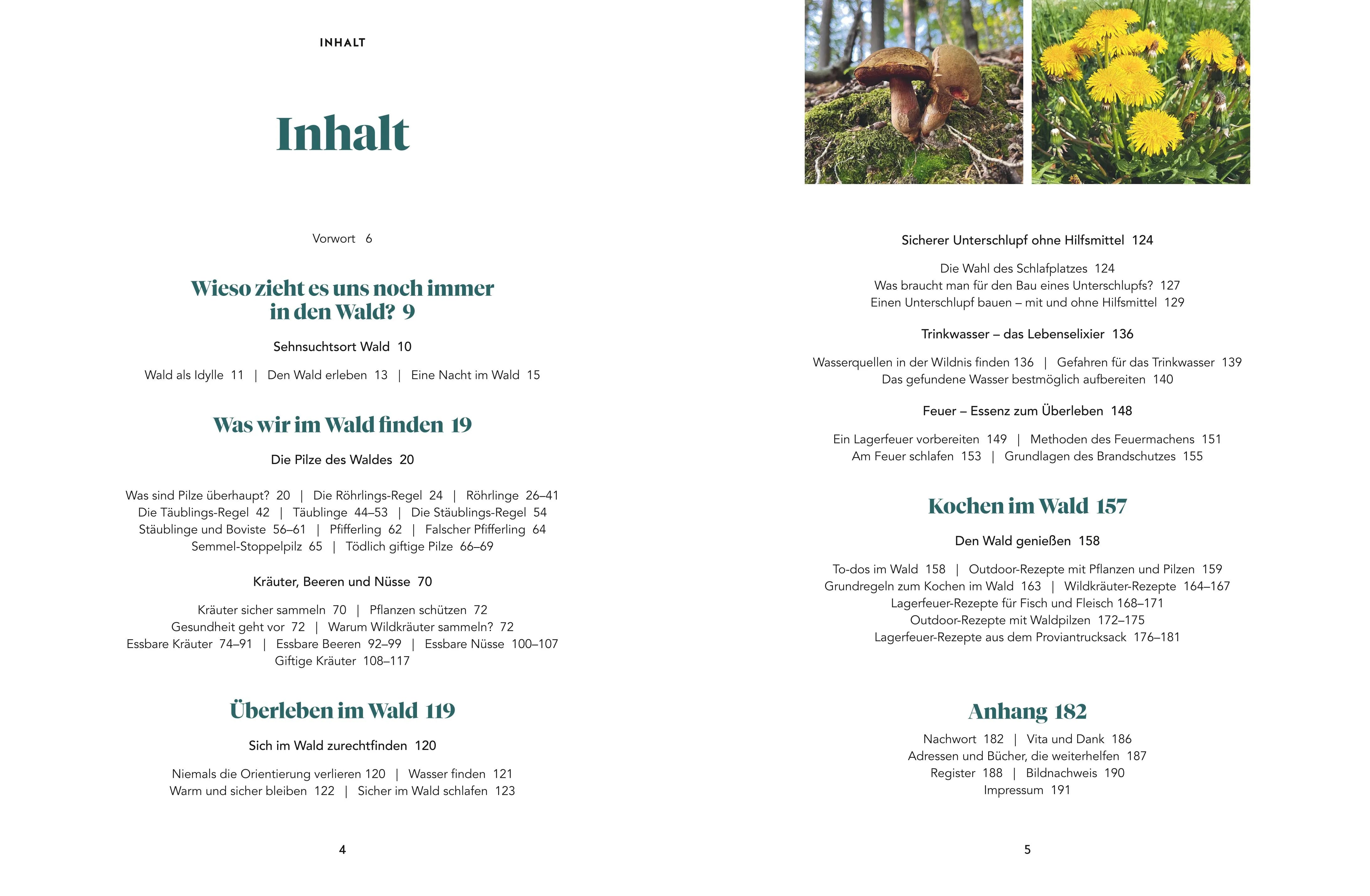 Abbildung von 'Abenteuer Wald'