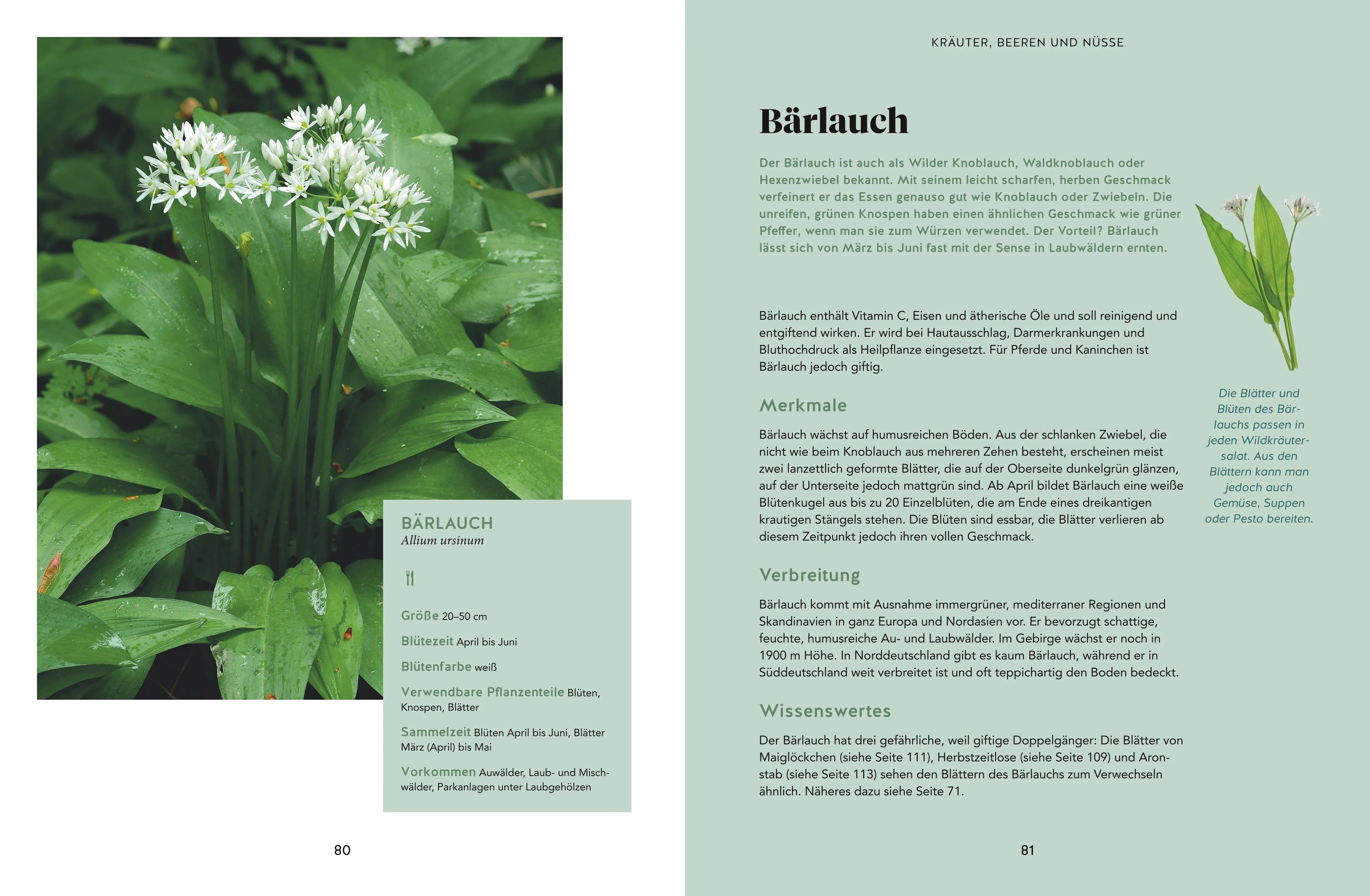 Produktansicht: Abenteuer Wald (Gebundene Ausgabe)