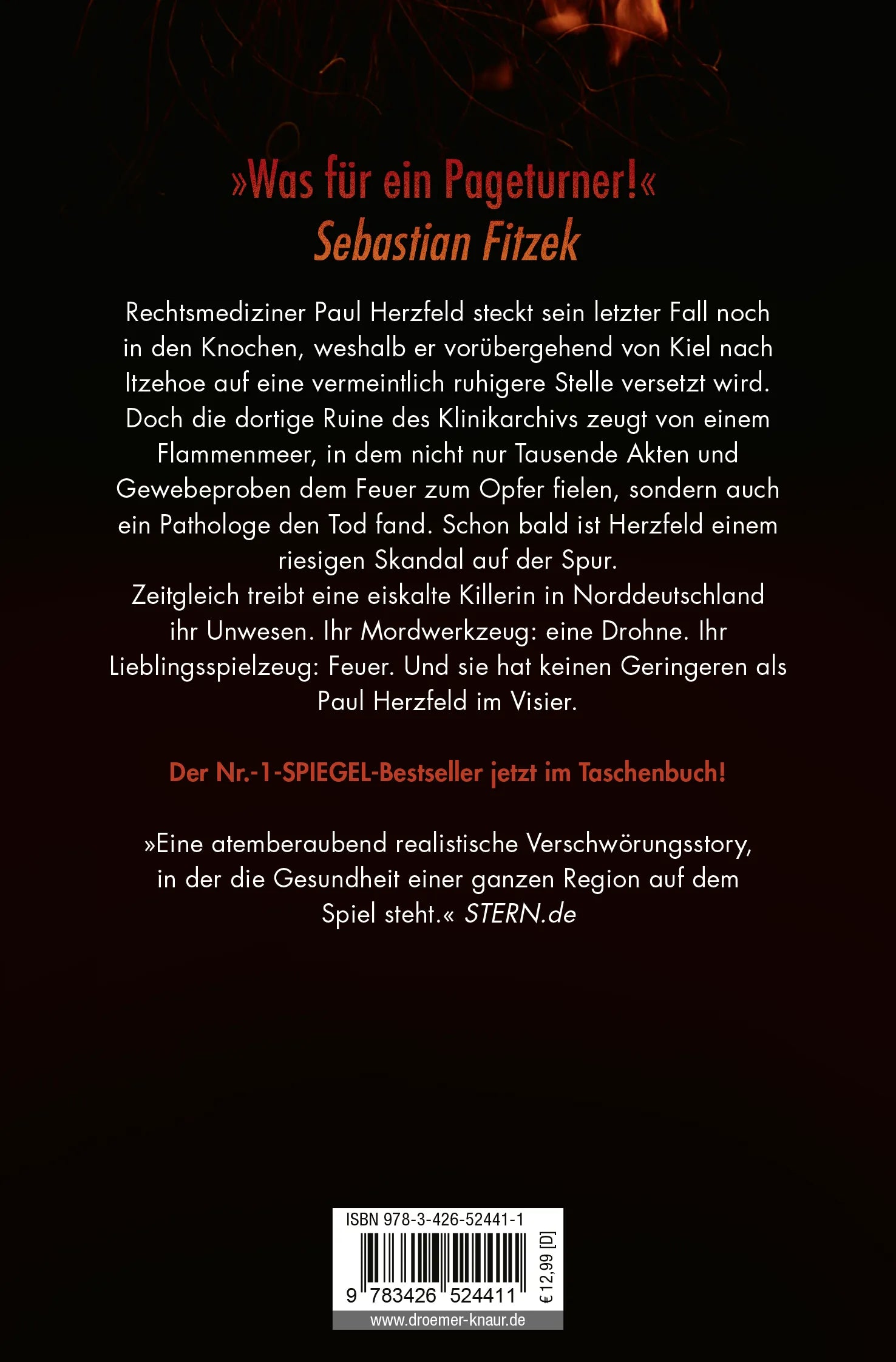 Buchrückseite von 'Abgefackelt' mit Klappentext - Taschenbuch