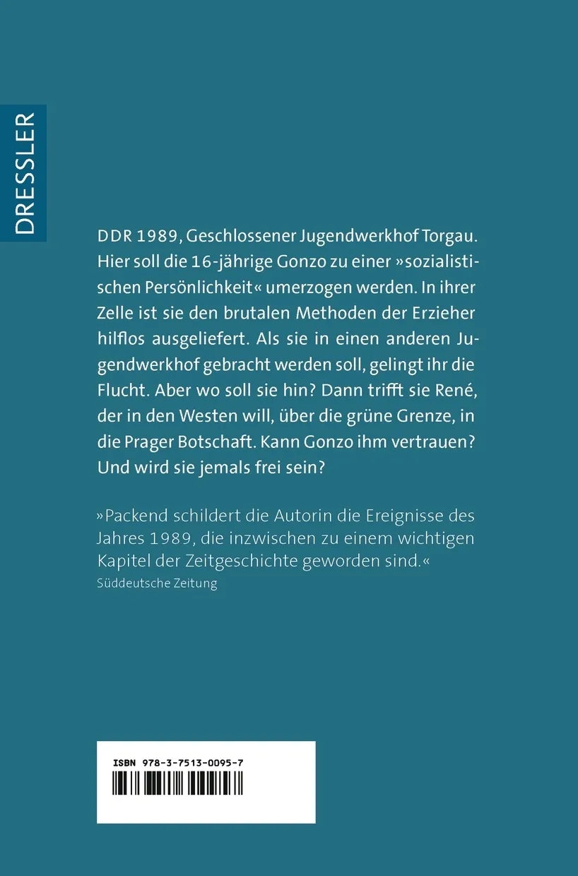 Buchrückseite von 'Abgehauen' mit Klappentext - Taschenbuch