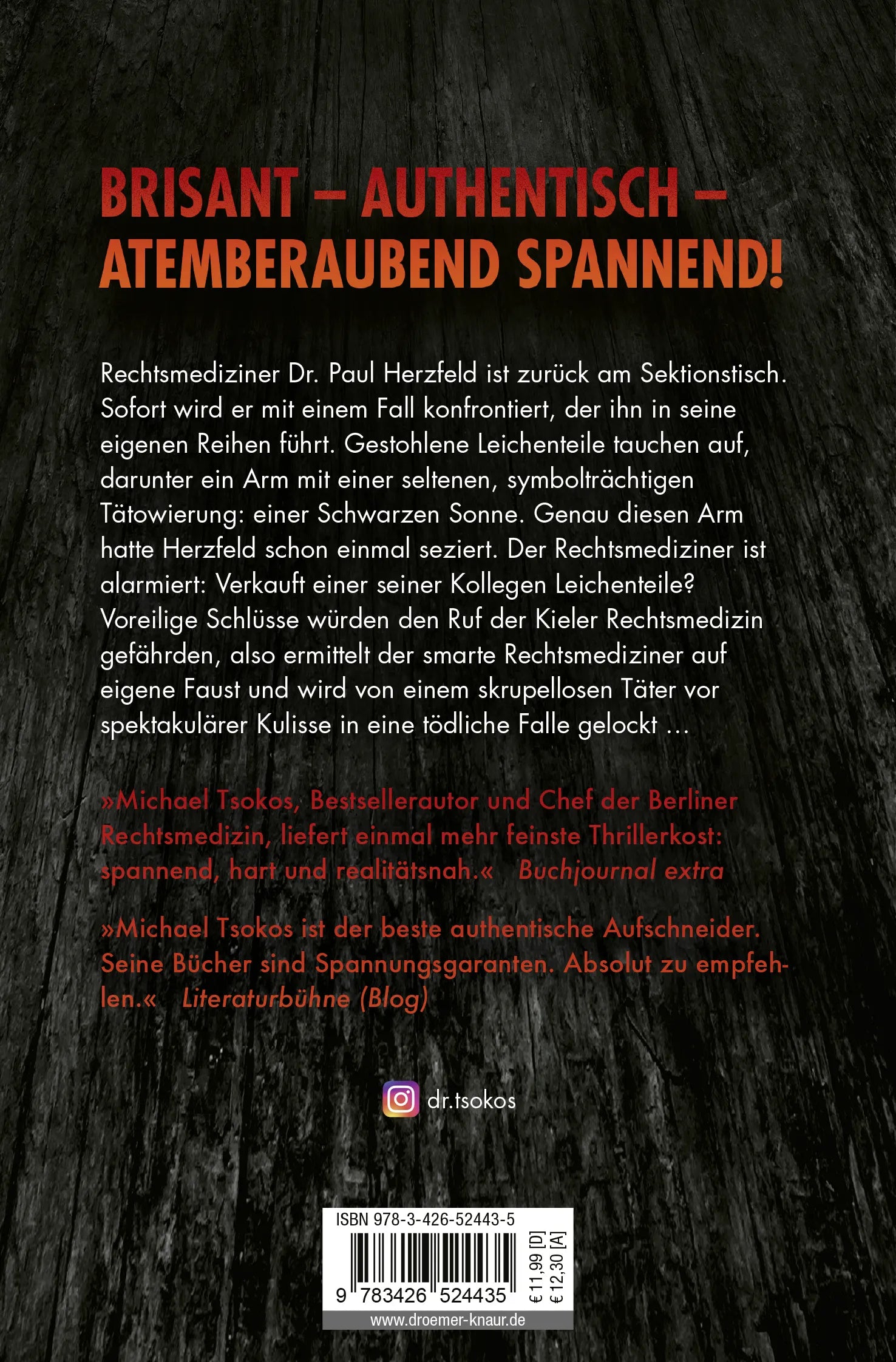 Buchrückseite von 'Abgetrennt' mit Klappentext - Taschenbuch