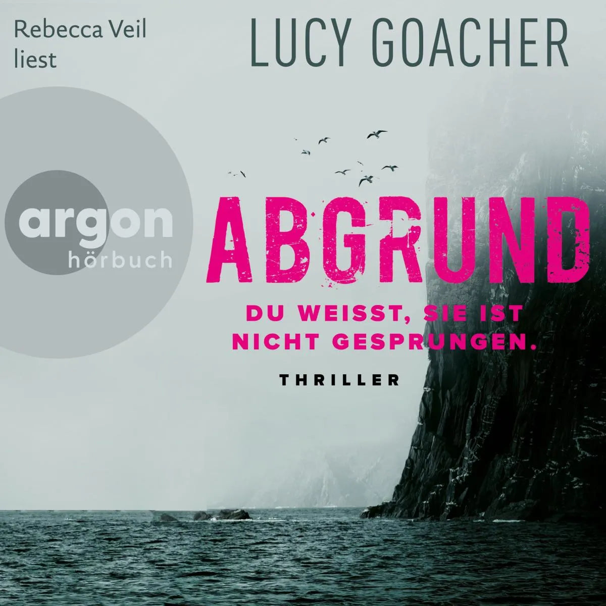 Cover: Abgrund (Hörbuch Download) von Lucy Goacher