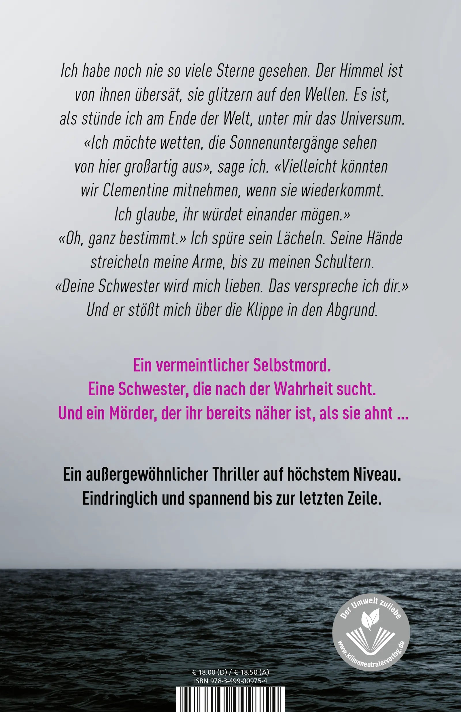 Buchrückseite von 'Abgrund' mit Klappentext - Paperback