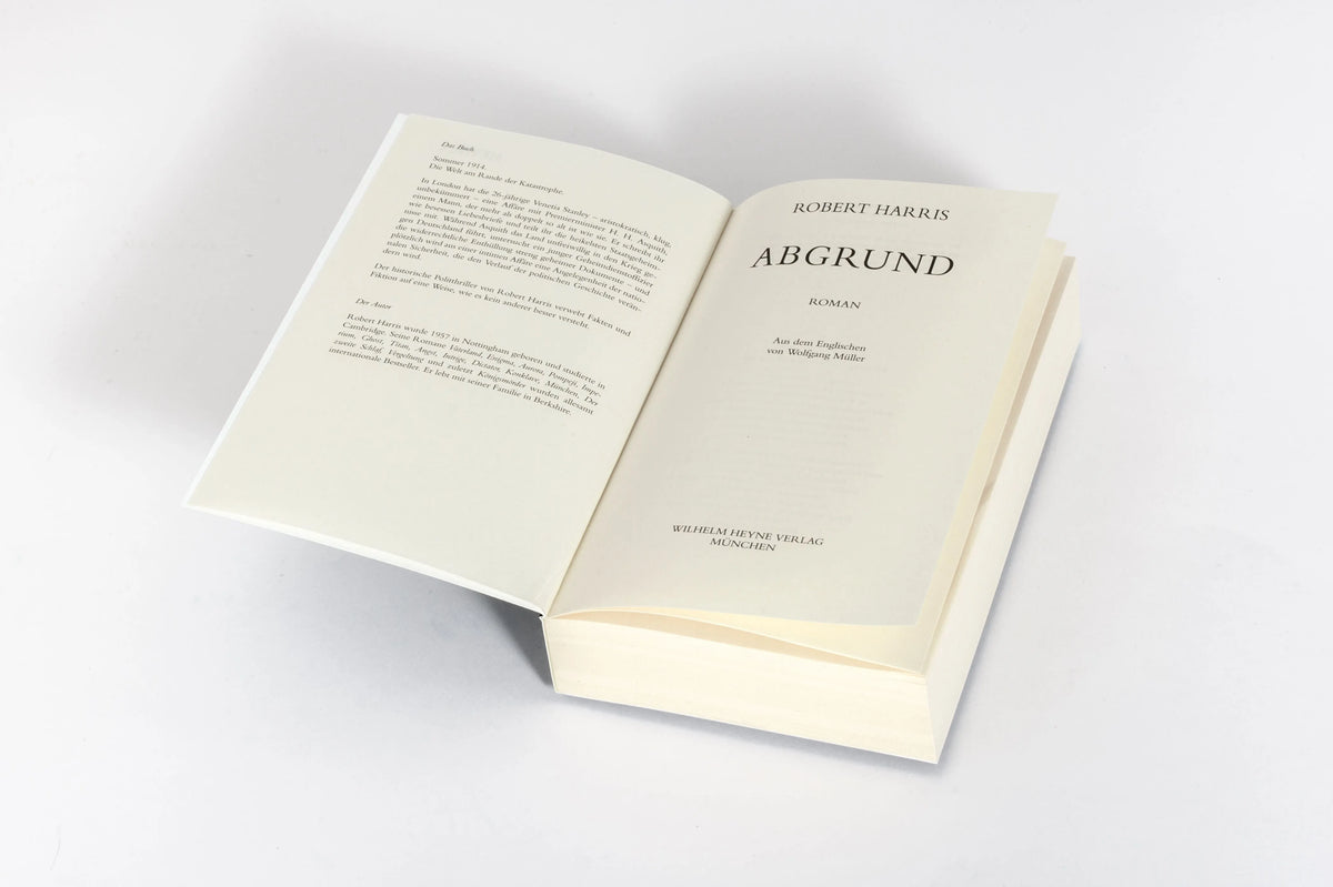 Detailansicht: Abgrund (Taschenbuch)