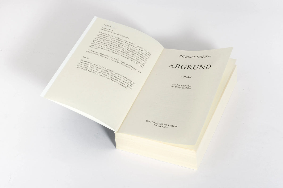 Detailansicht: Abgrund (Taschenbuch)