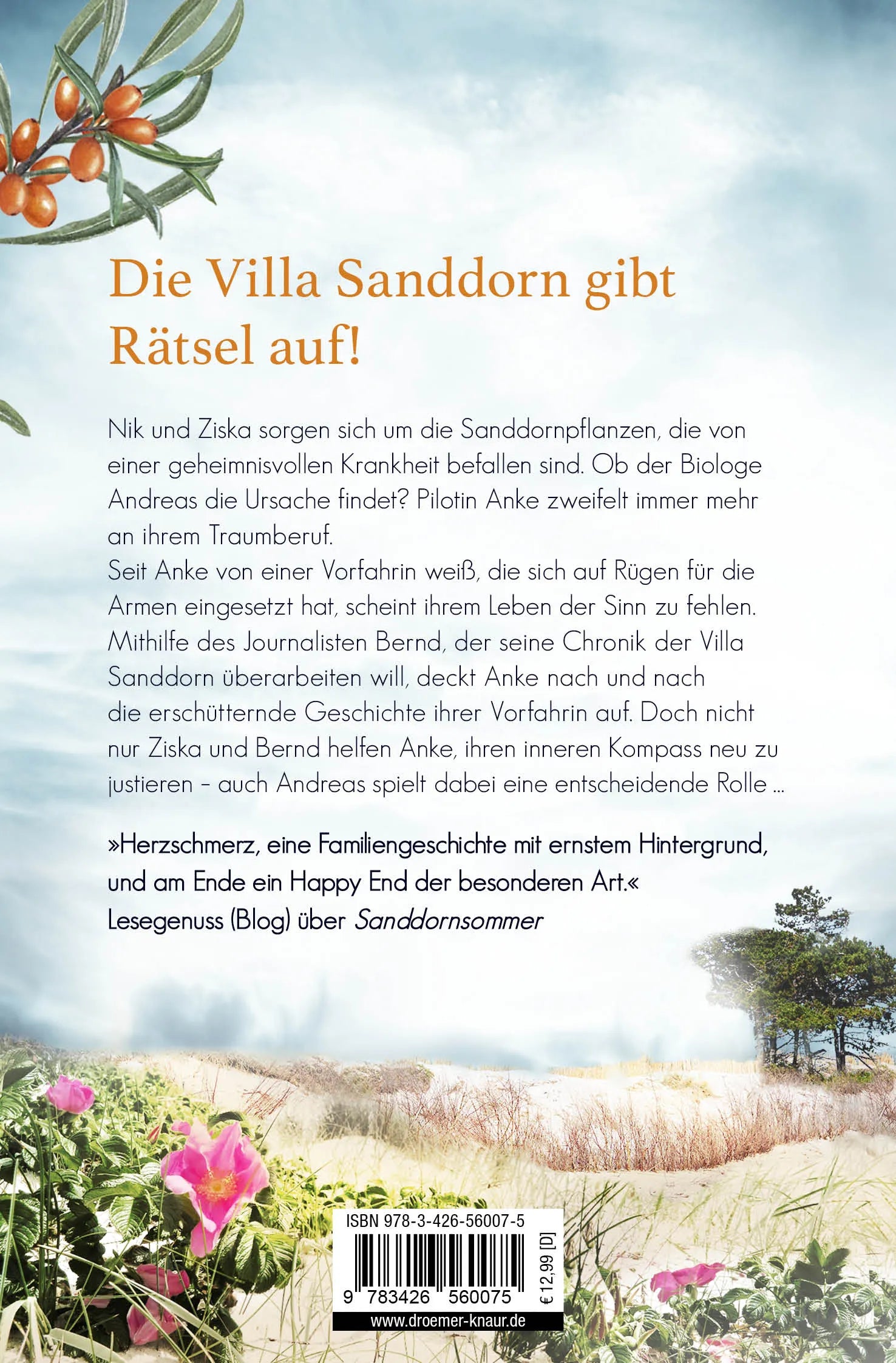 Buchrückseite von 'Abschied von der Villa Sanddorn' mit Klappentext - Taschenbuch