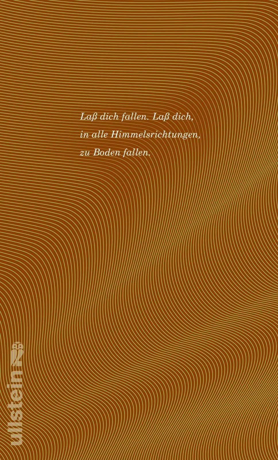 Buchrückseite von 'Abschiedsstücke' mit Klappentext - Taschenbuch