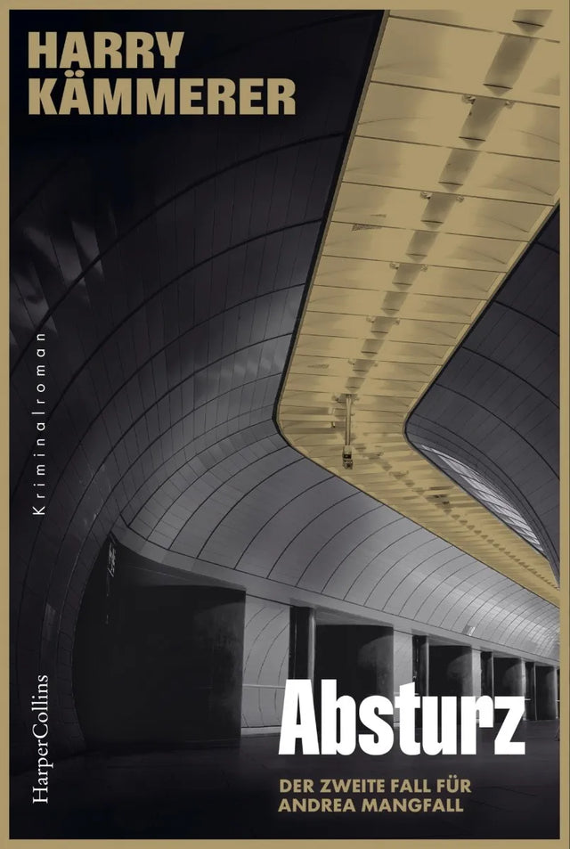 Cover: Absturz (E-Book) von Harry Kämmerer