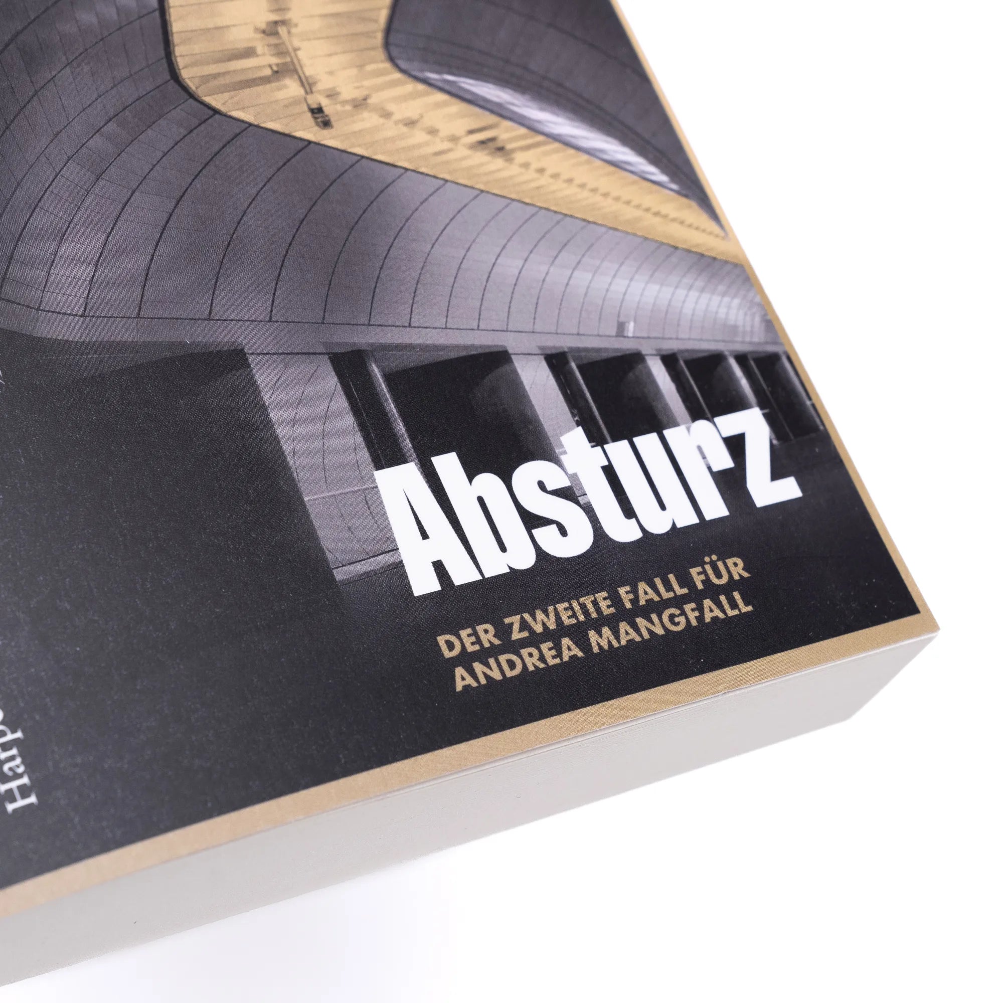 Abbildung von 'Absturz'