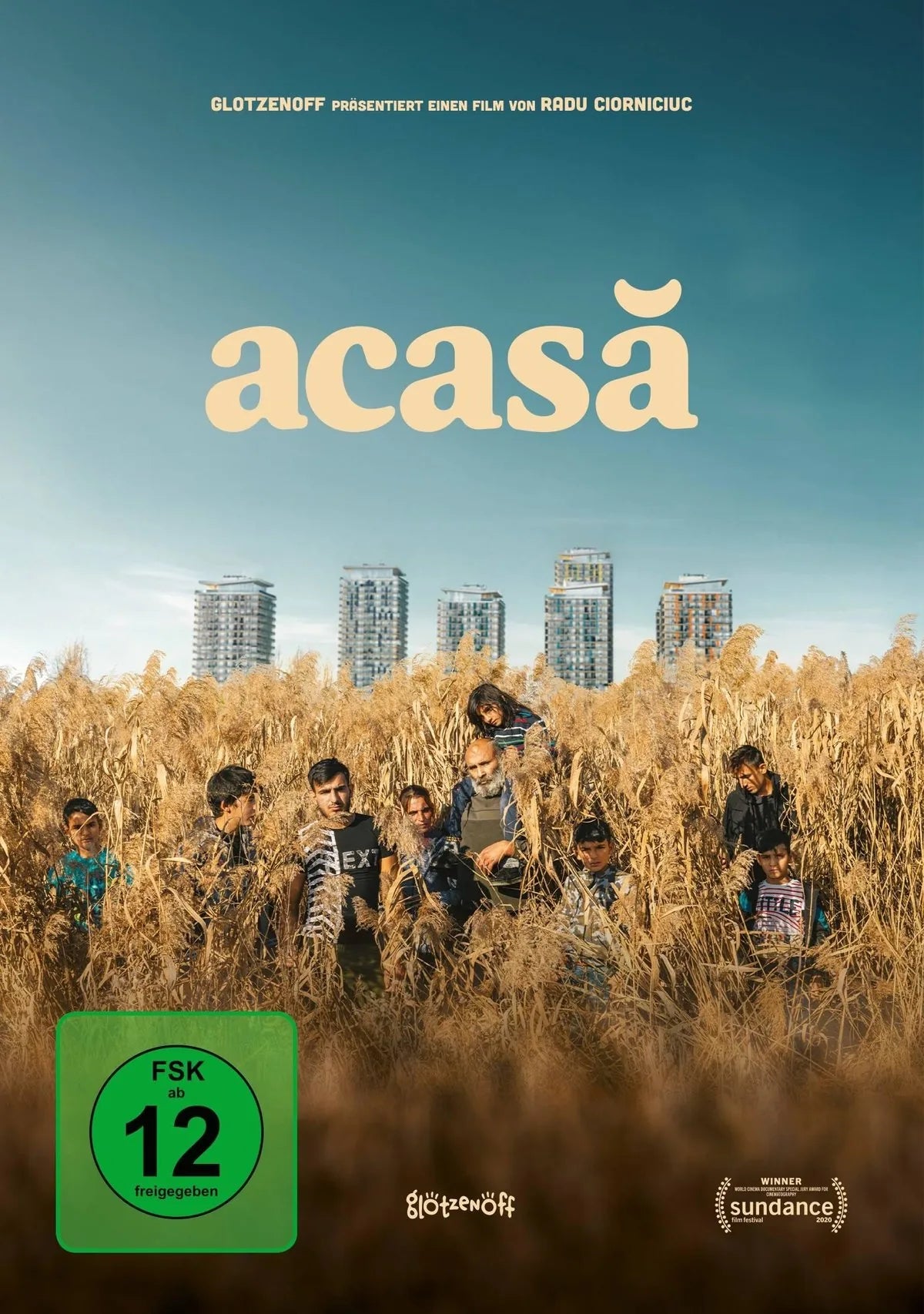Acasa - DVD