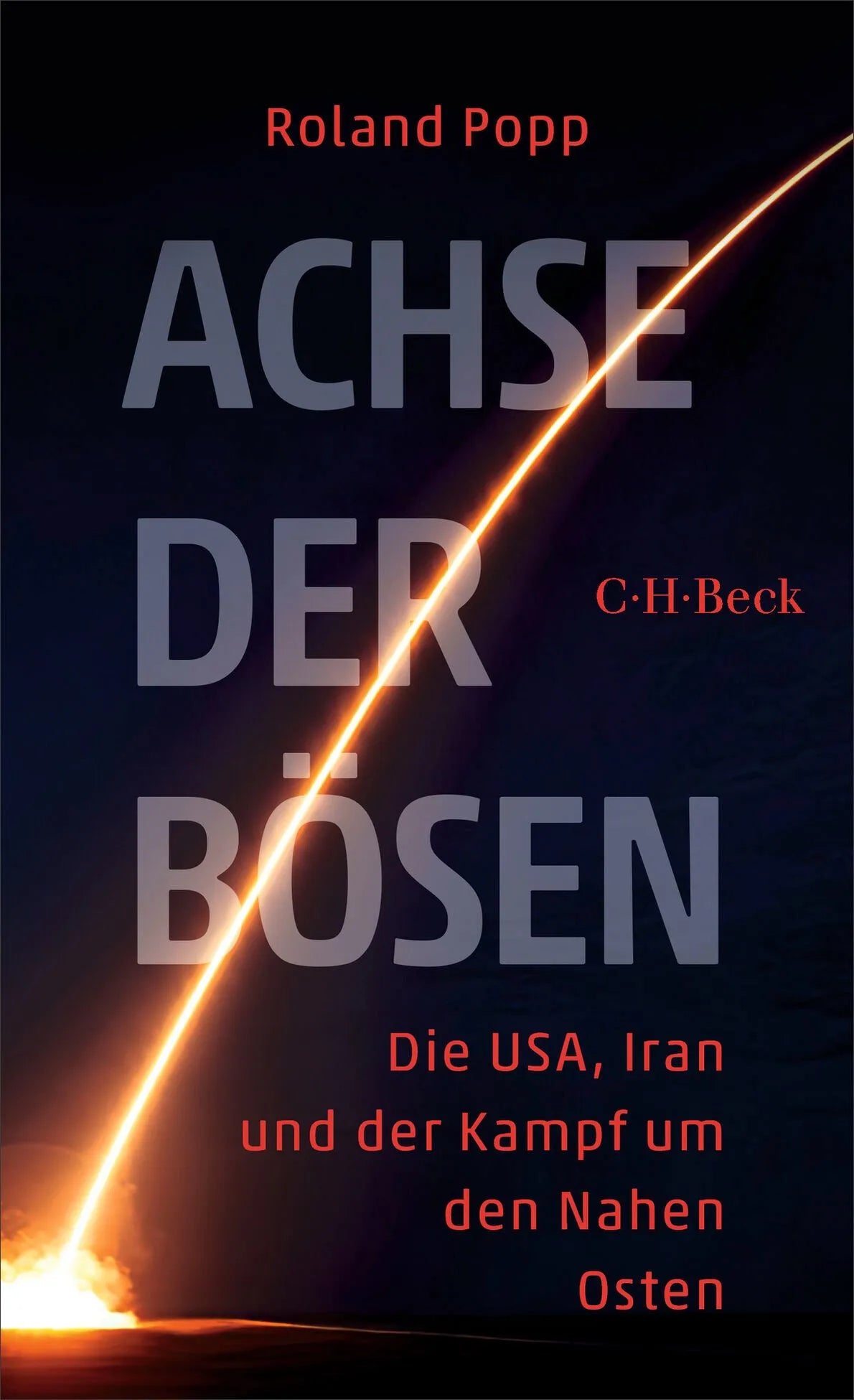 Cover: Achse der Bösen (Taschenbuch) von Roland Popp
