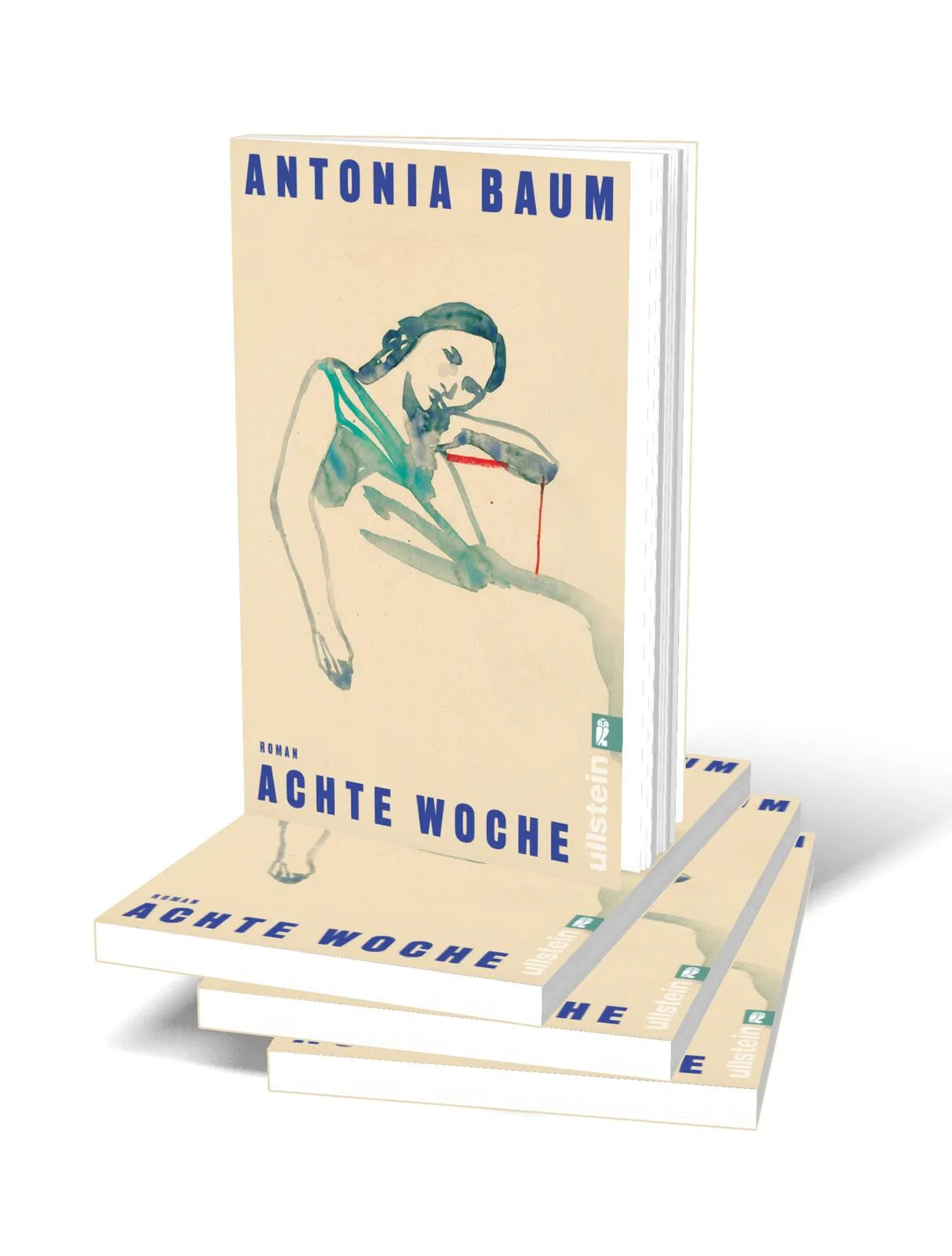 Detailansicht: Achte Woche (Taschenbuch)
