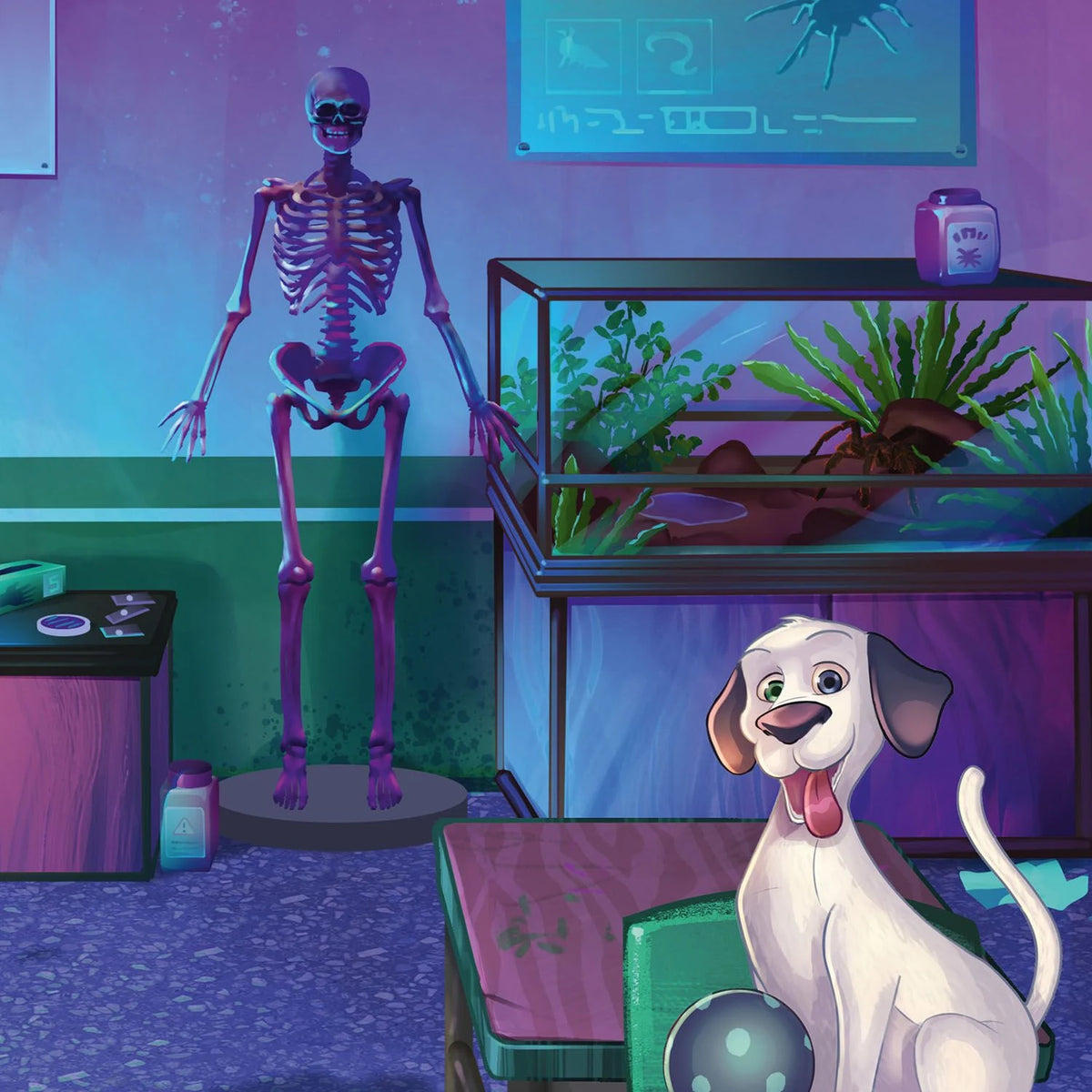 Adventure Games Family Dimension Fünf-Sieben – Ansicht