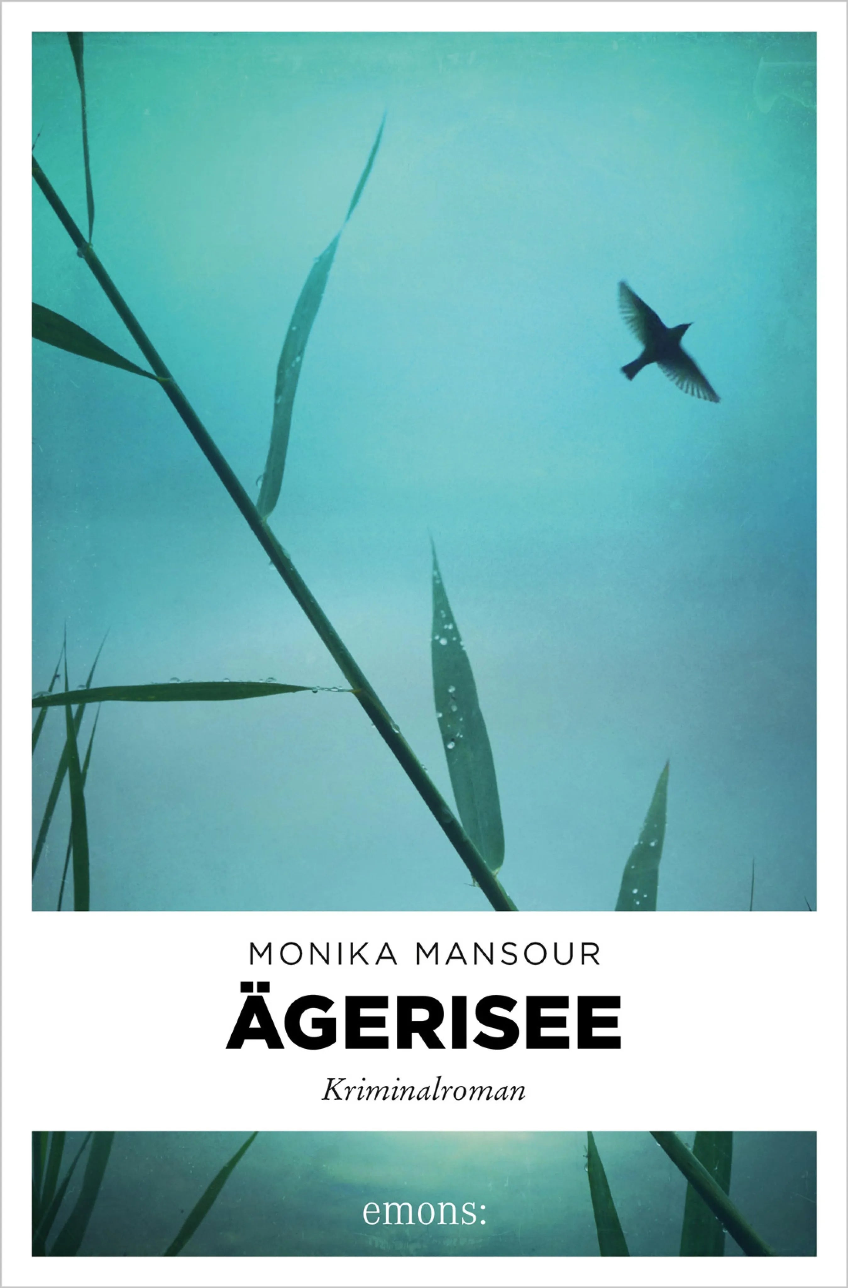 Cover: Ägerisee (E-Book) von Monika Mansour