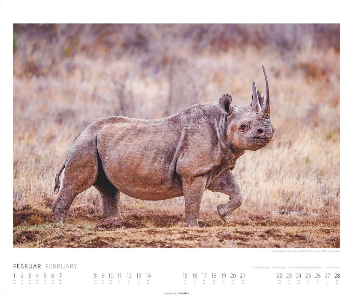African Wildlife Kalender 2027 – Ansicht