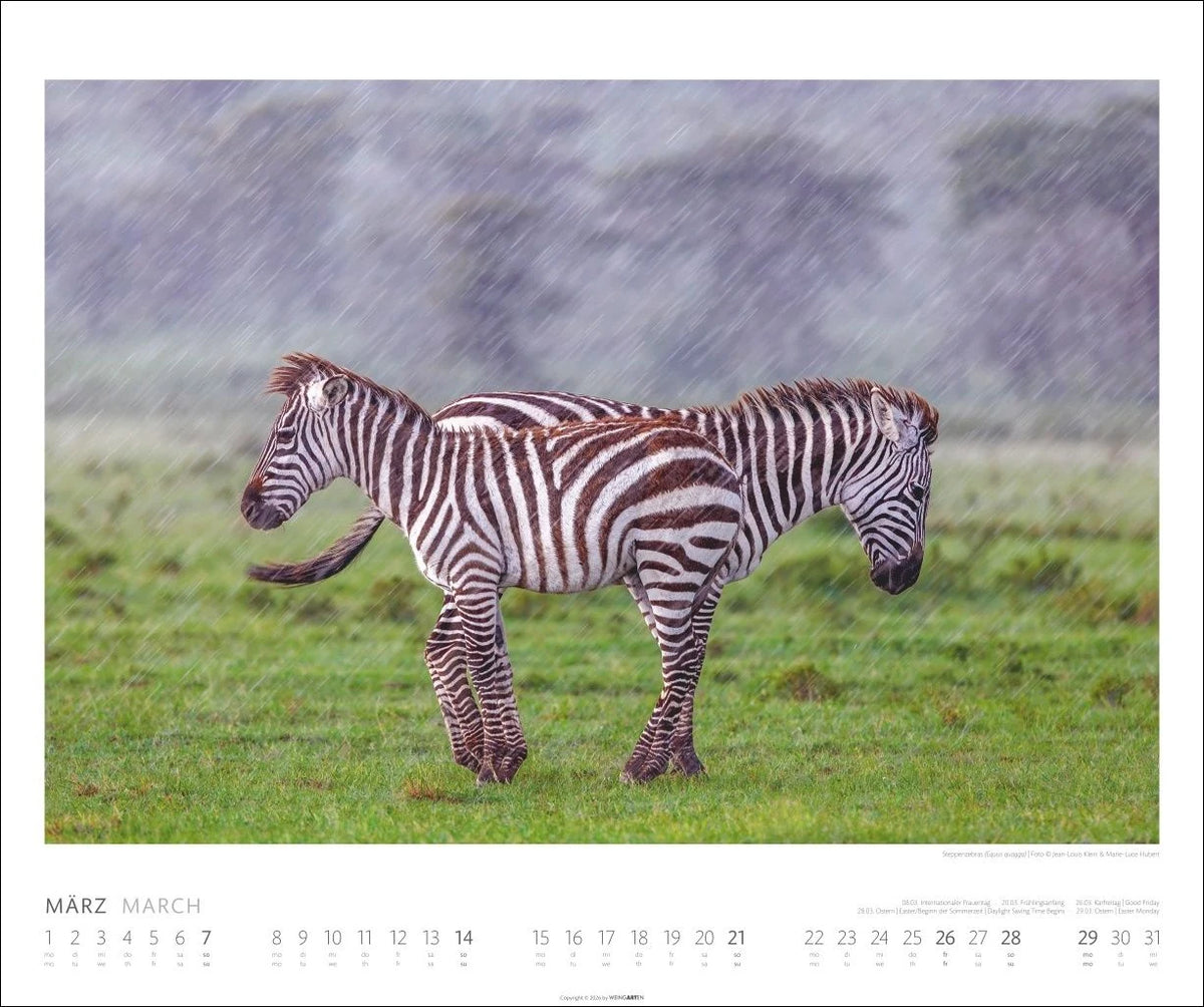 African Wildlife Kalender 2027 – Ansicht