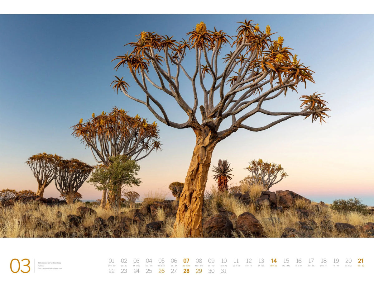 Afrika Gallery Kalender 2027 – Ansicht
