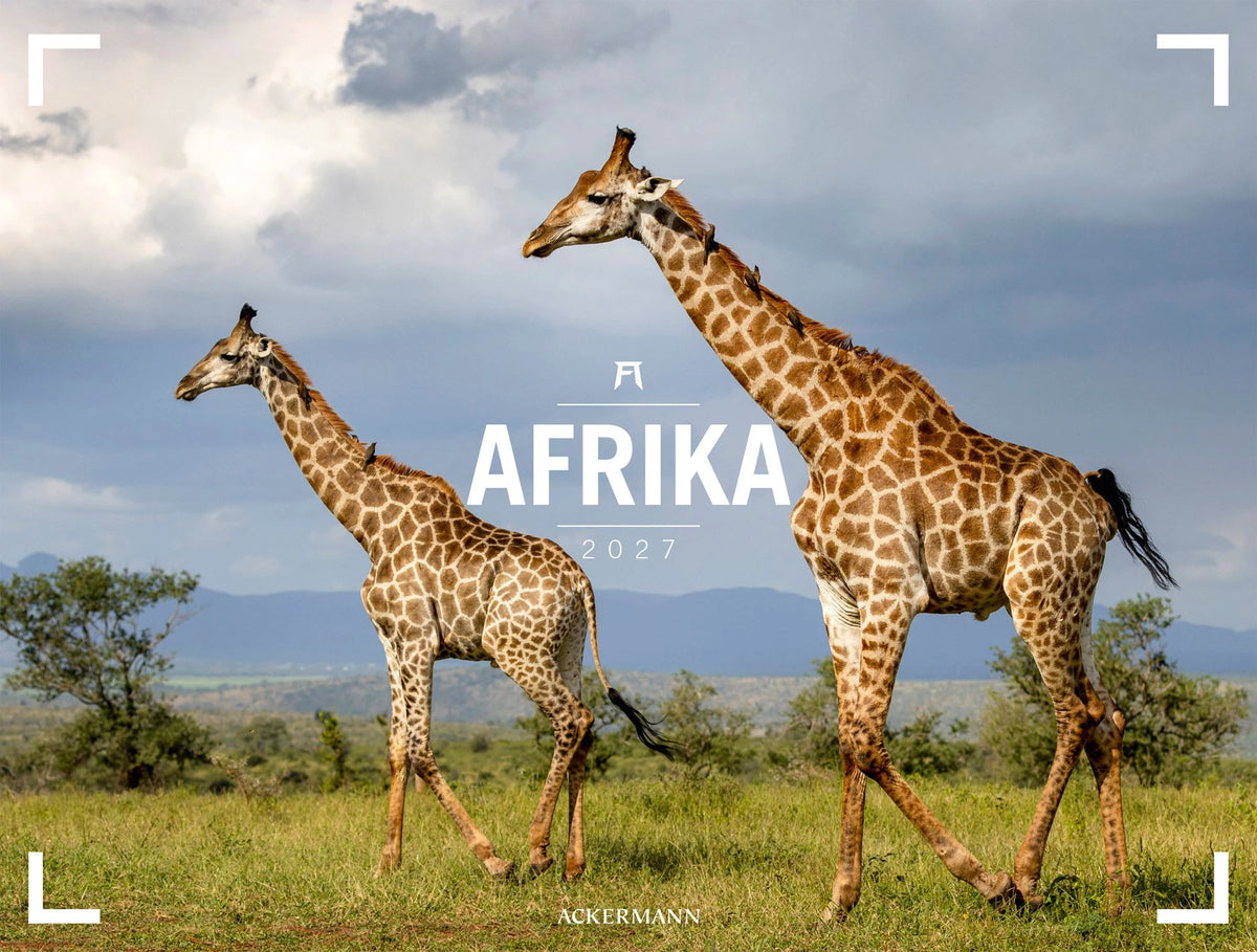 Wandkalender: Afrika Gallery Kalender 2027