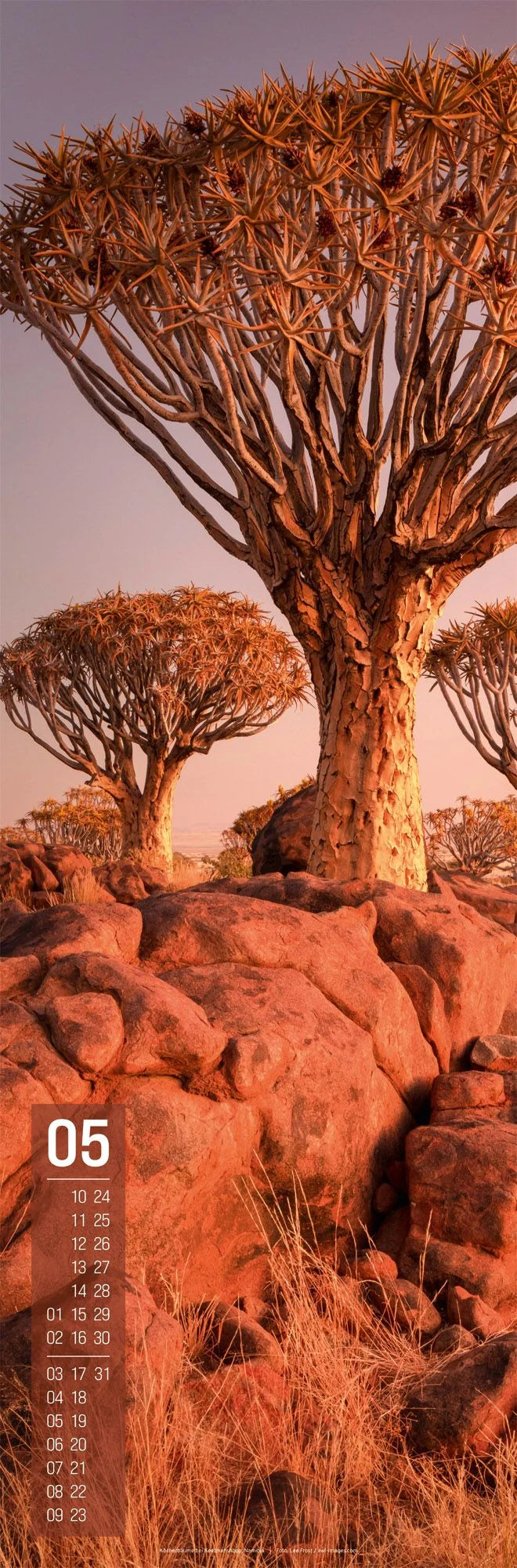 Afrika Vertikal Kalender 2027 – Ansicht