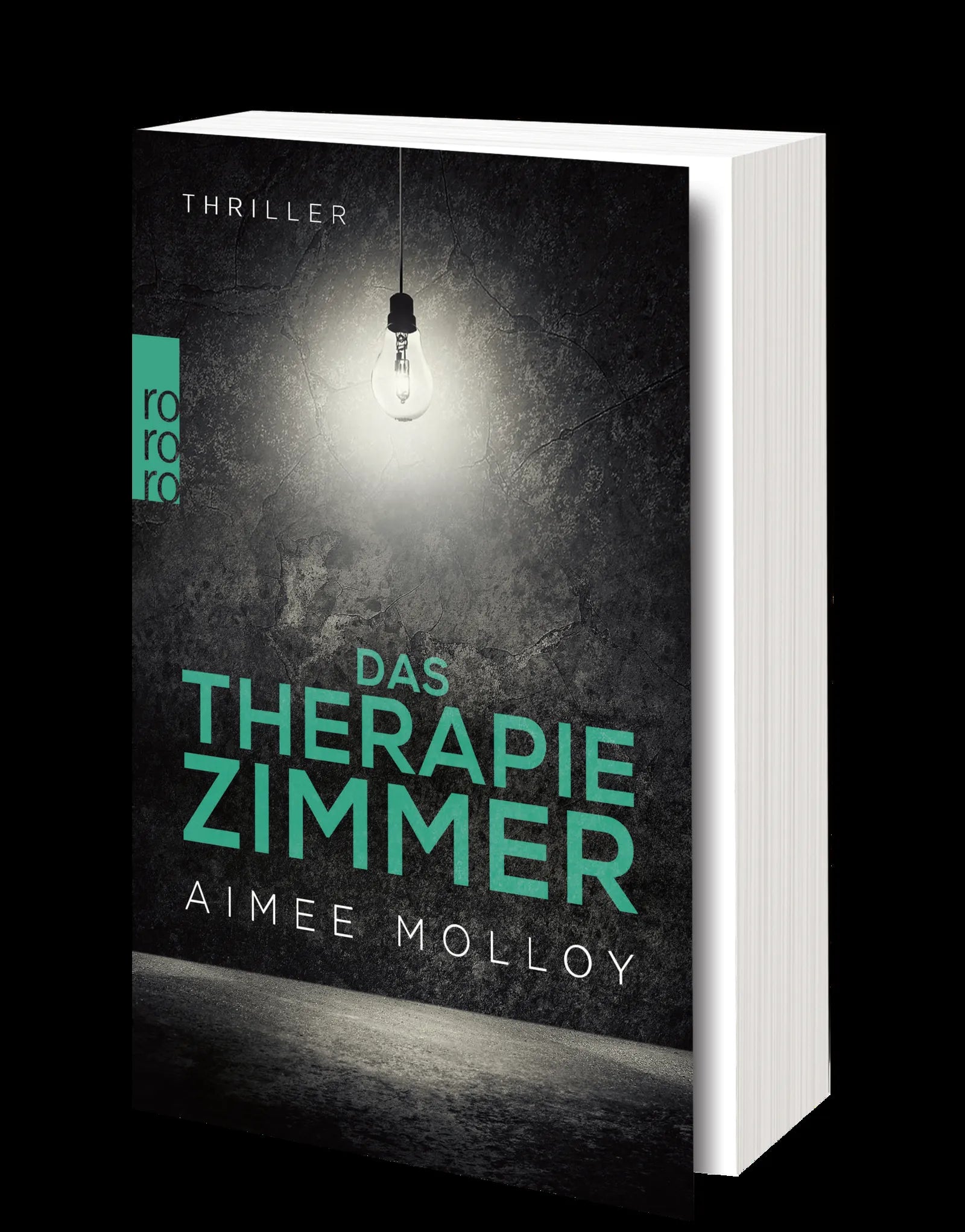 Produktansicht: Das Therapiezimmer (Taschenbuch)