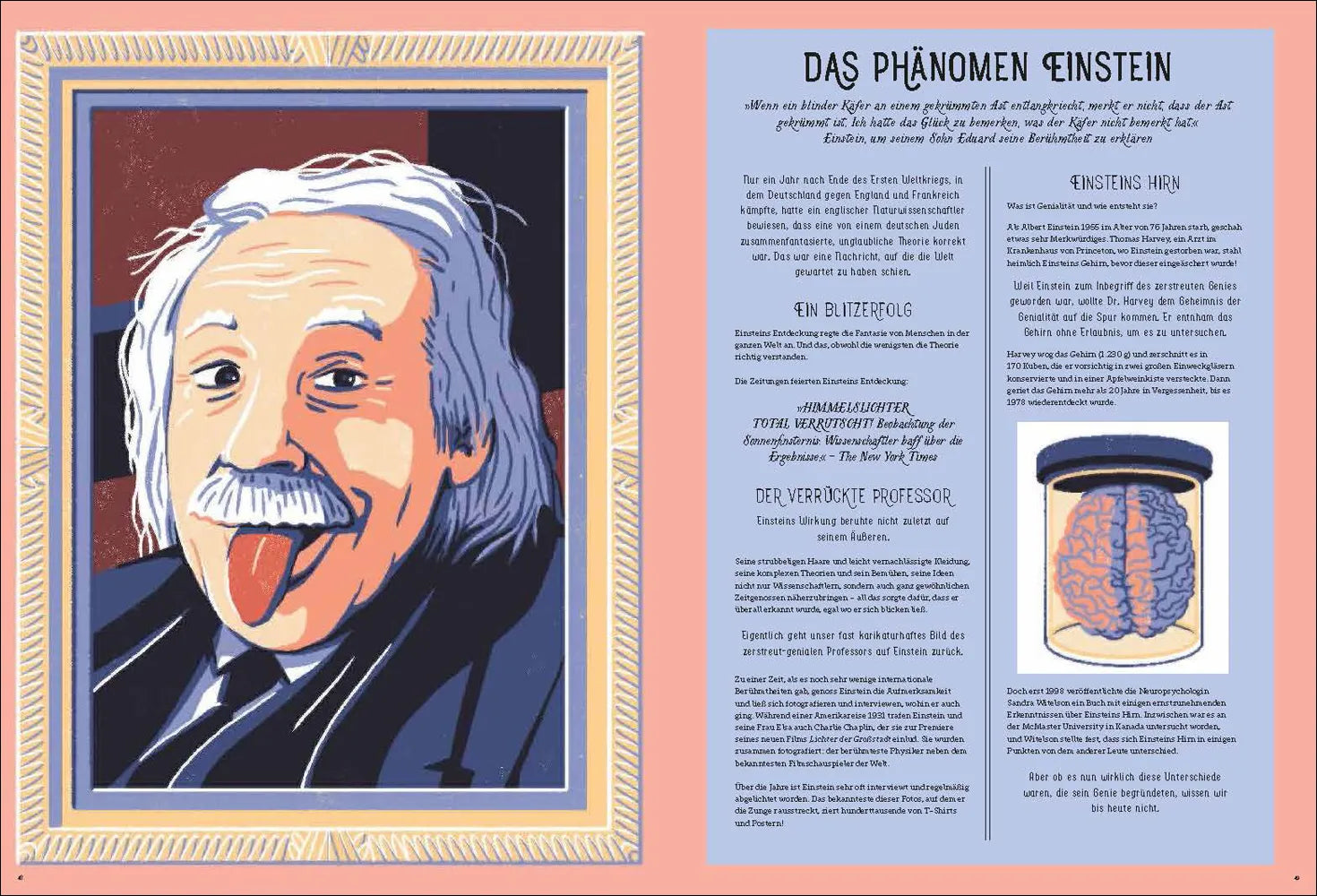 Produktansicht: Albert Einsteins Relativitätstheorie (Gebundene Ausgabe)