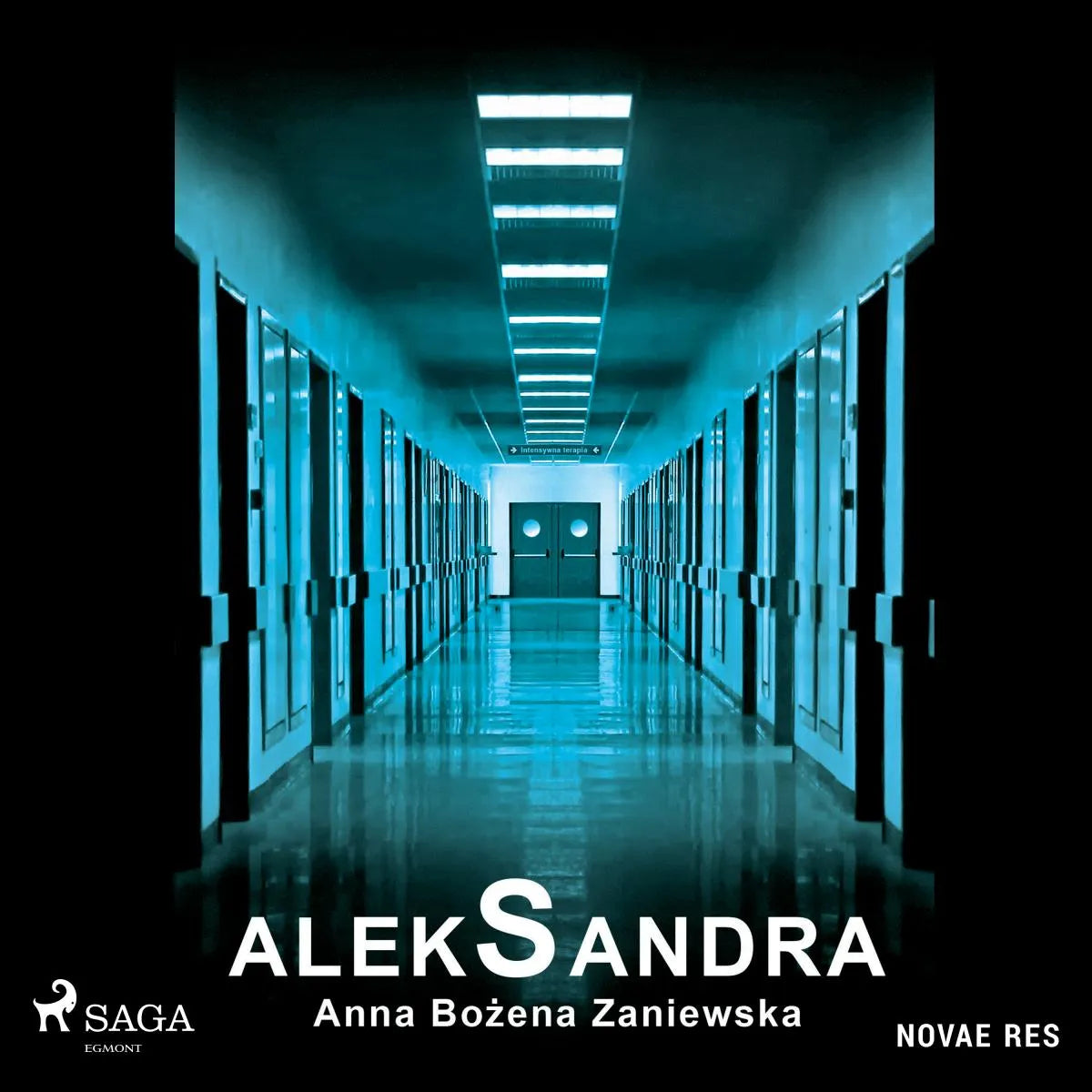 Cover: AlekSandra (Hörbuch Download) von Anna Bozena Zaniewska