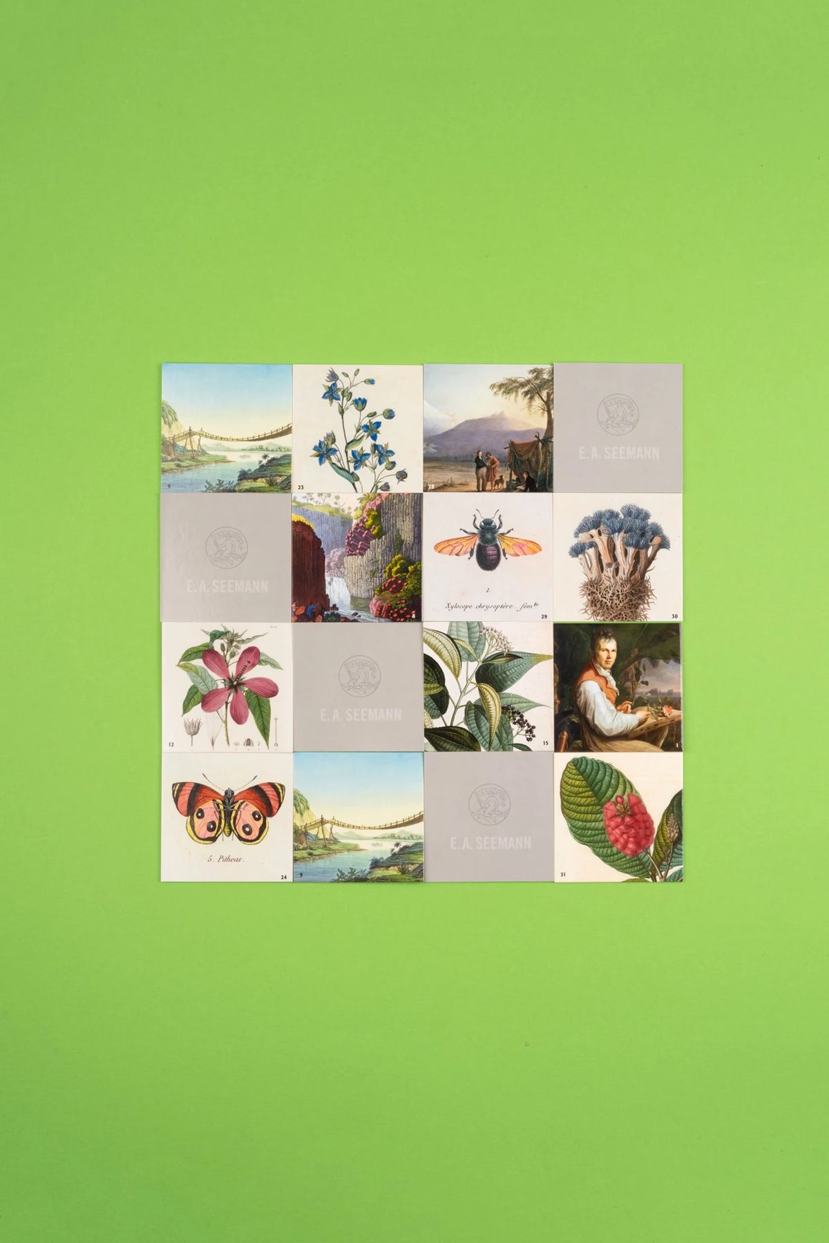 Alexander von Humboldt. Memo – Ansicht
