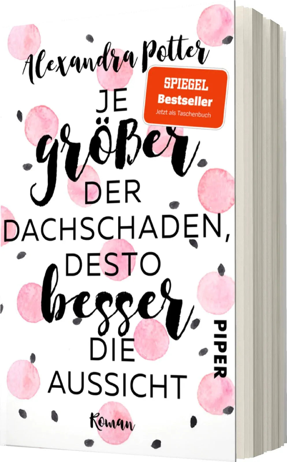 Produktansicht: Je größer der Dachschaden, desto besser die Aussicht (Taschenbuch)