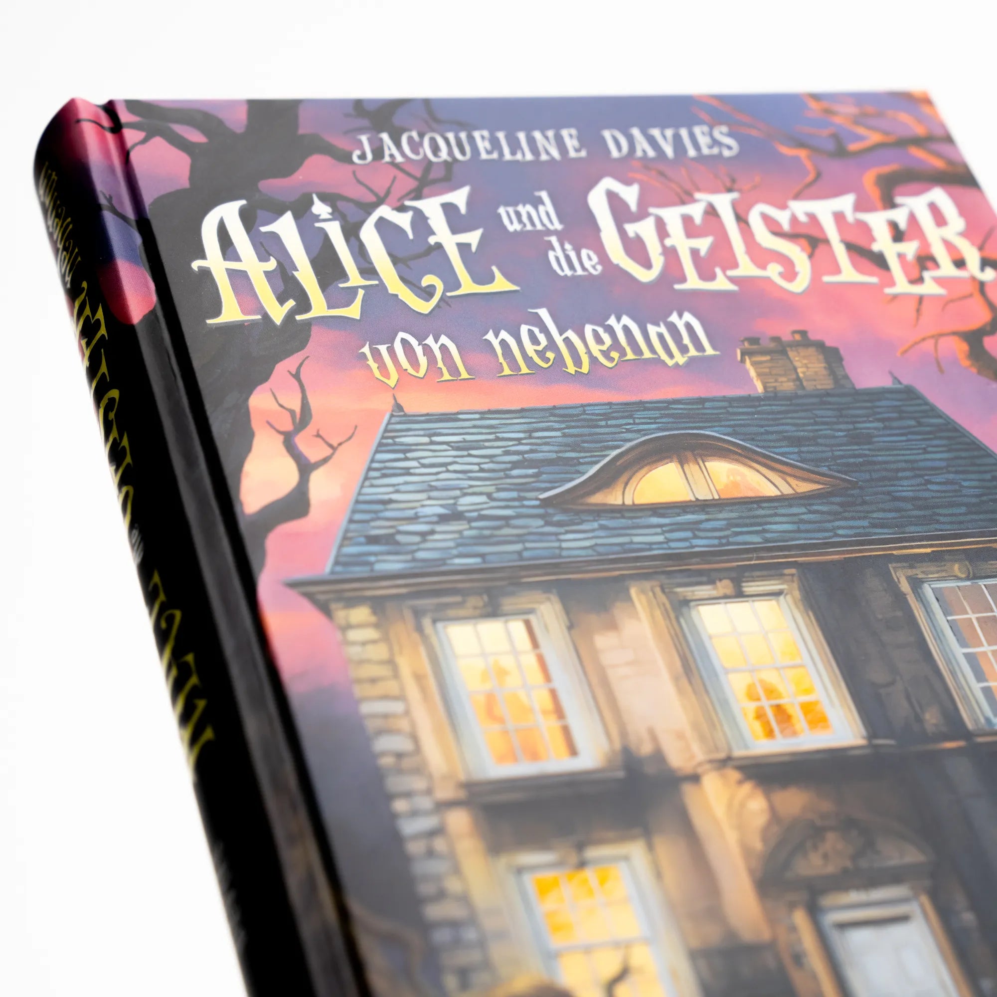 Produktansicht: Alice und die Geister von nebenan (Gebundene Ausgabe)