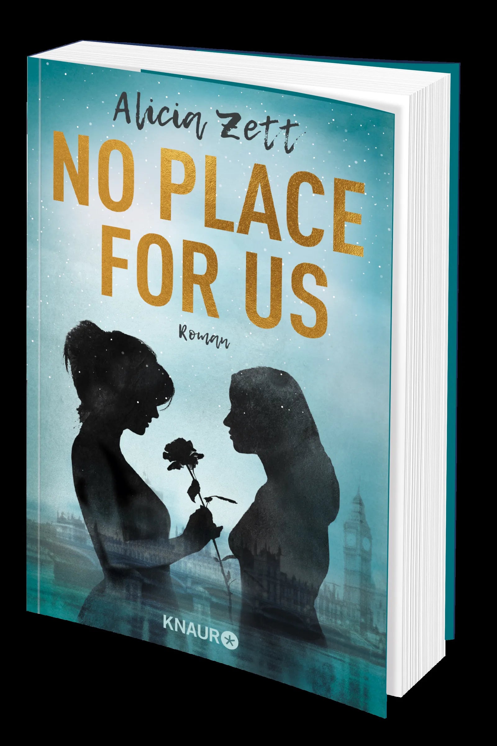 Produktansicht: No Place For Us (Paperback)