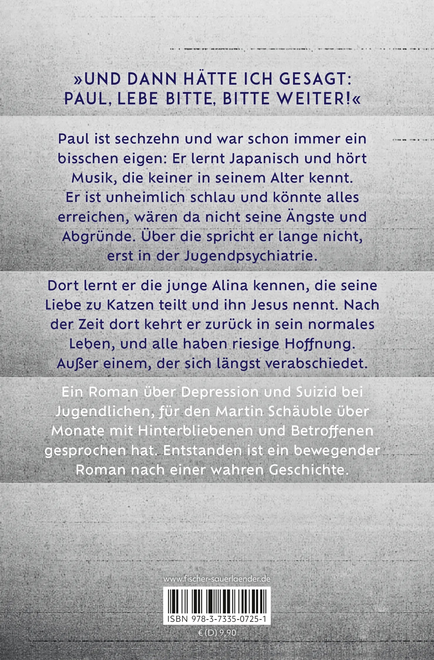 Buchrückseite von 'Alle Farben grau' mit Klappentext - Taschenbuch