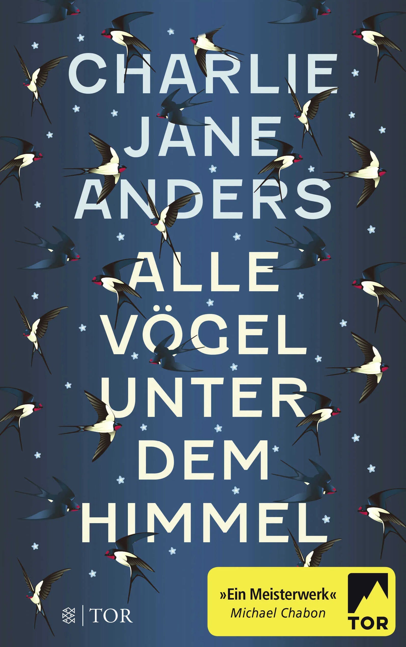 Buchcover von 'Alle Vögel unter dem Himmel' - Paperback von Charlie Jane Anders