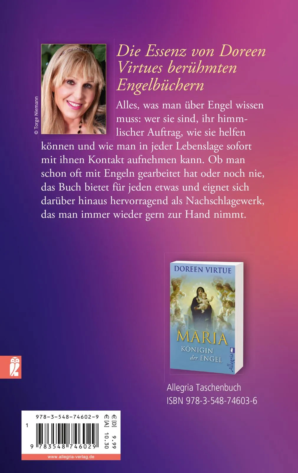 Buchrückseite von 'Alles über Engel' mit Klappentext - Taschenbuch